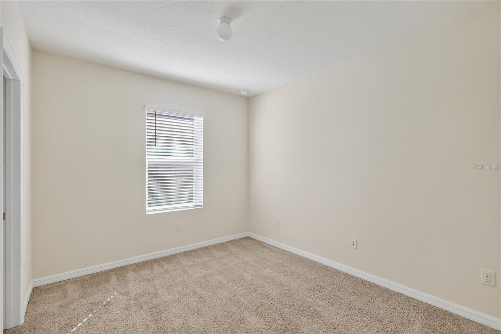 32997 KALOKO, WESLEY CHAPEL, FL, 33543