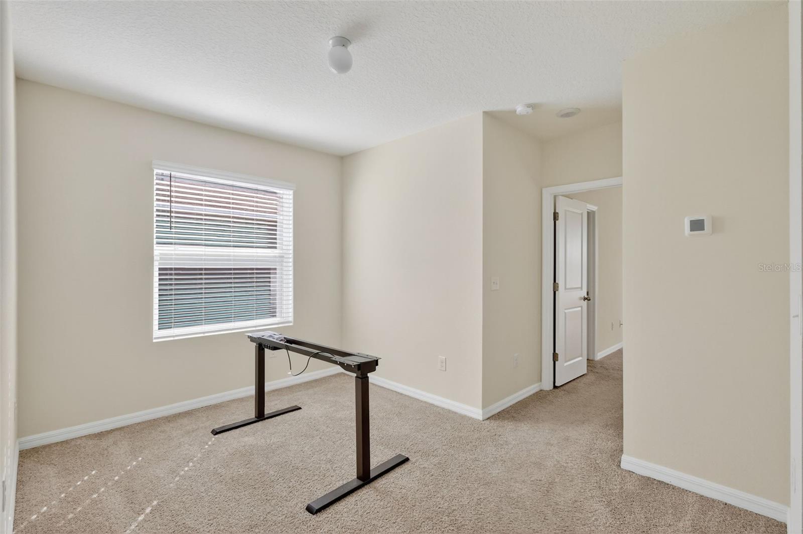 32997 KALOKO, WESLEY CHAPEL, FL, 33543