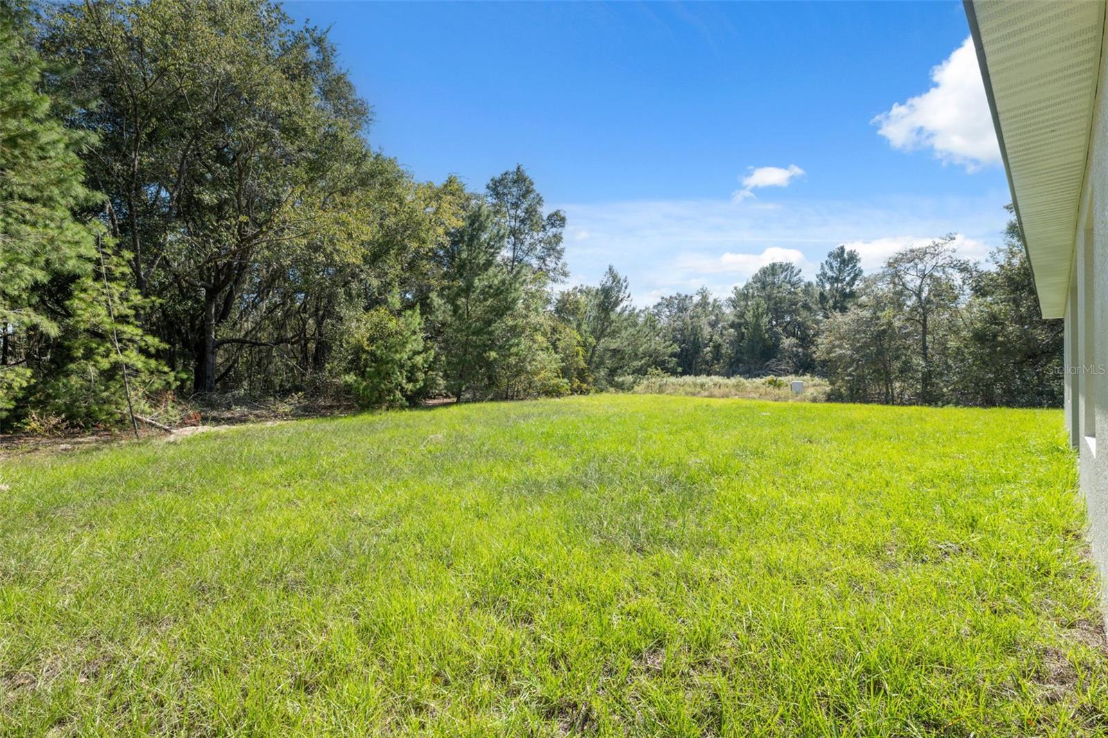 16241 SW 23RD COURT RD, OCALA, FL, 34473