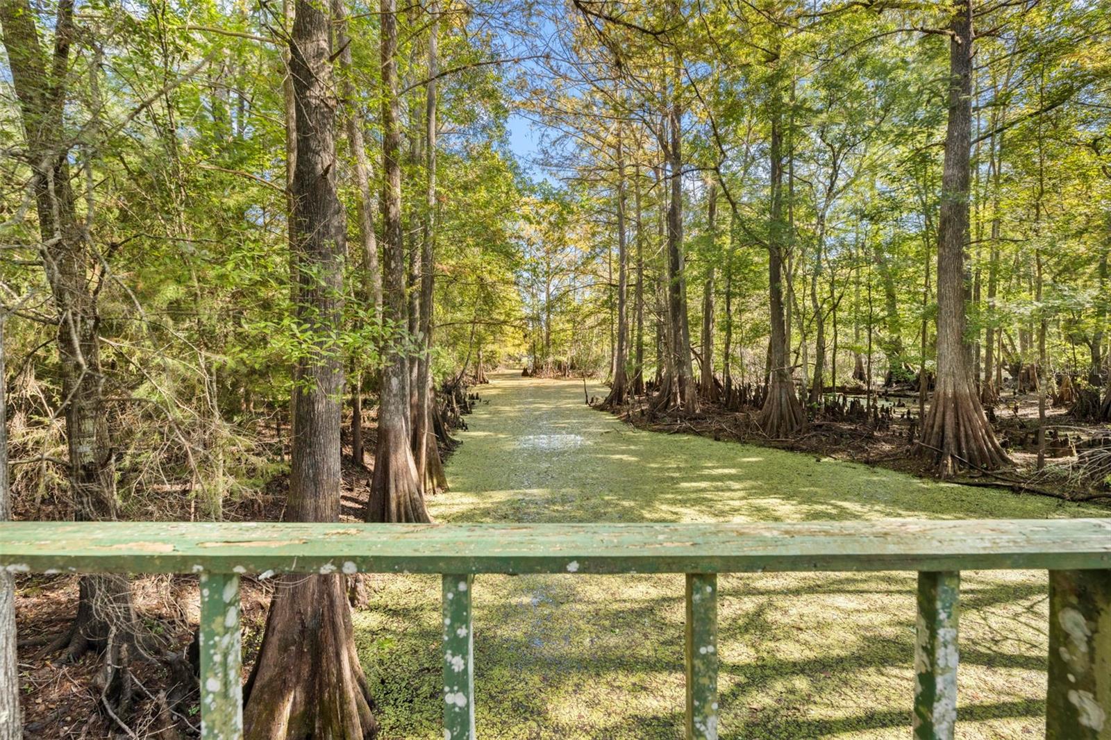 10750 E SYBIL CT, FLORAL CITY, FL, 34436