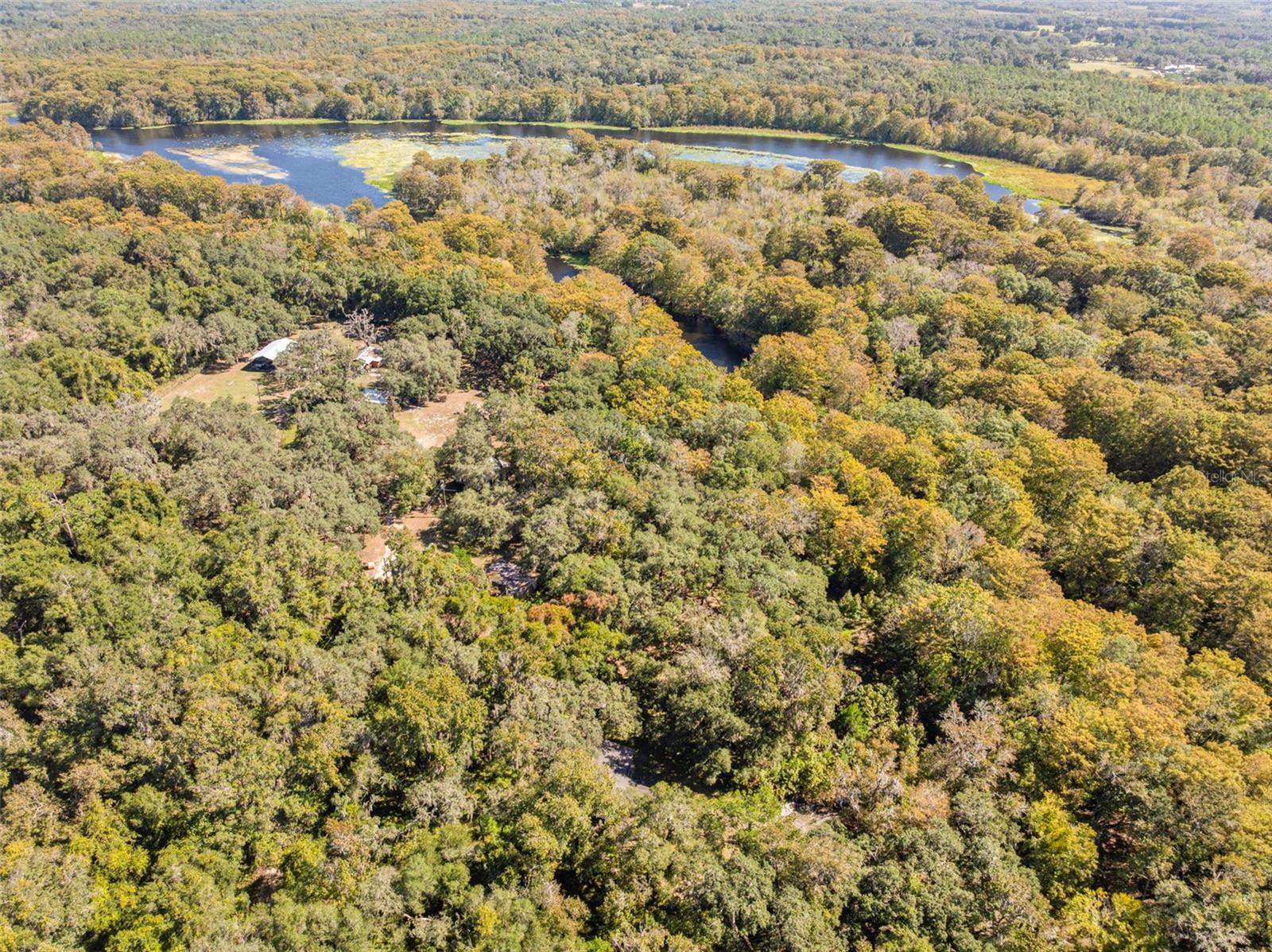 10750 E SYBIL CT, FLORAL CITY, FL, 34436