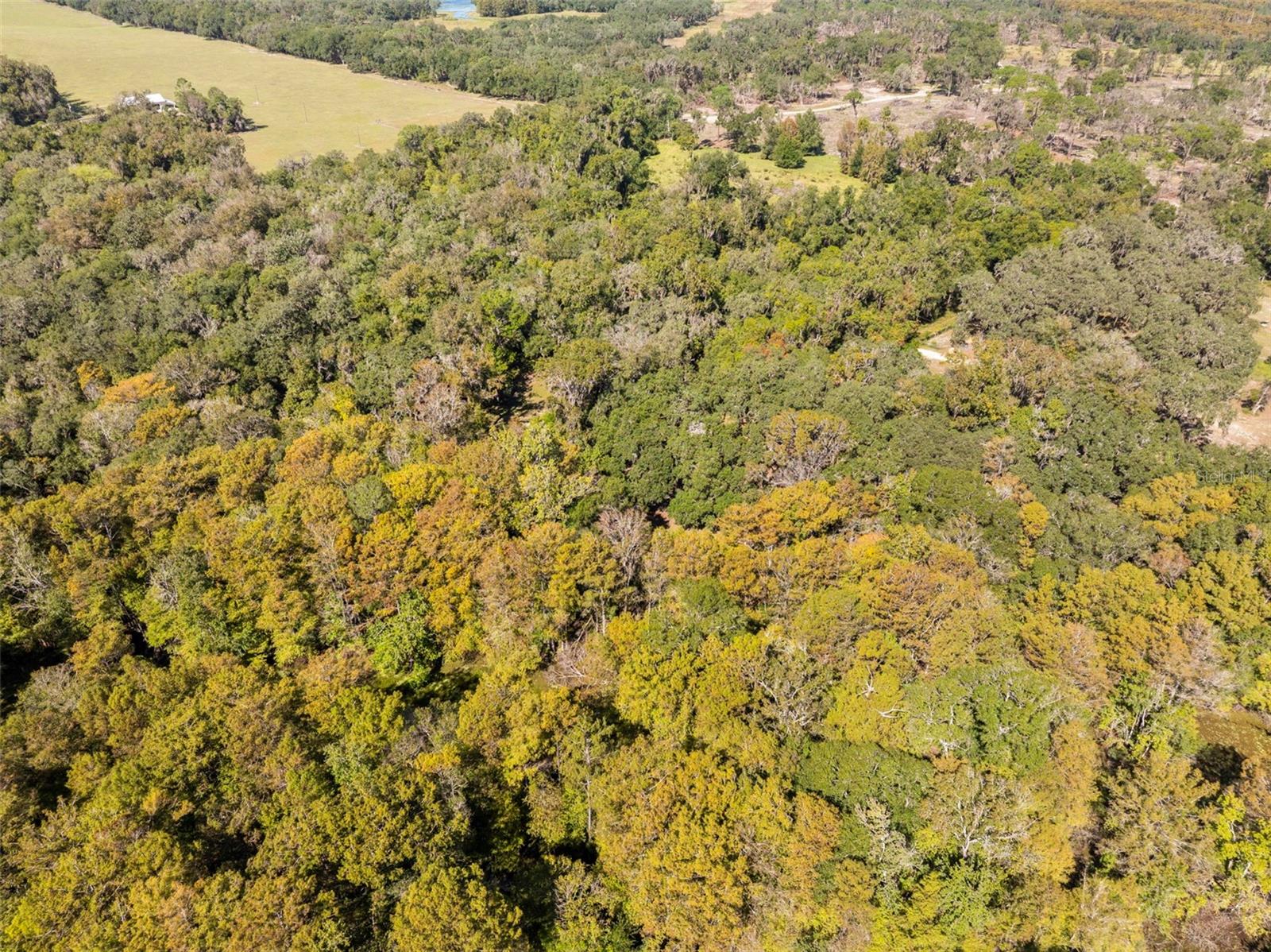 10750 E SYBIL CT, FLORAL CITY, FL, 34436