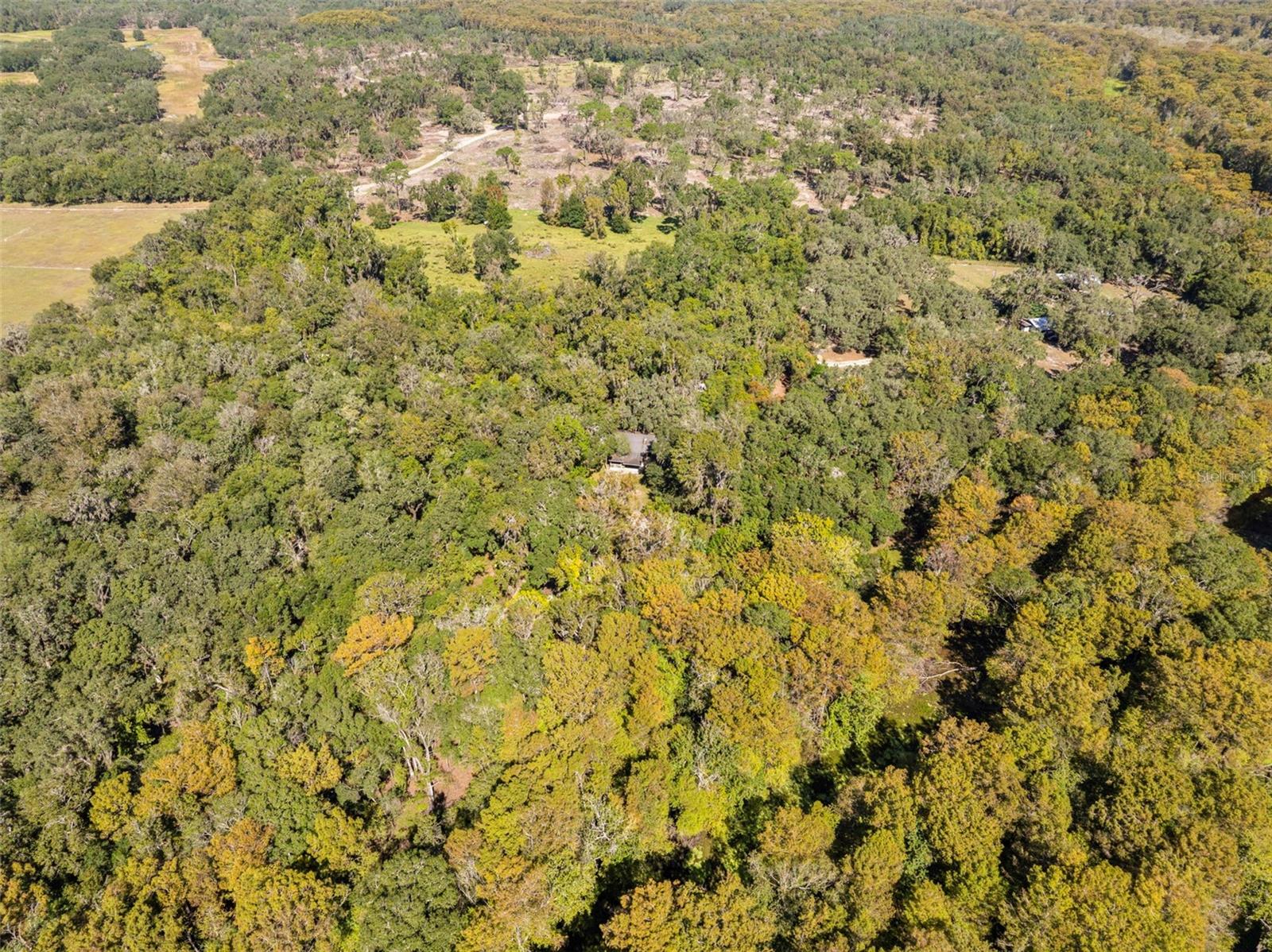 10750 E SYBIL CT, FLORAL CITY, FL, 34436