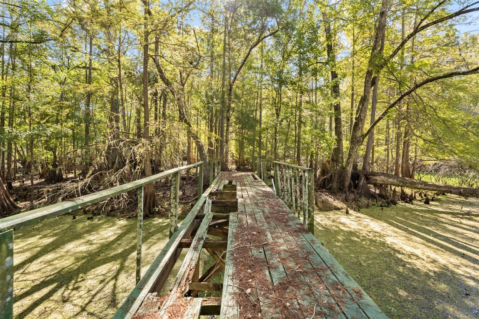 10750 E SYBIL CT, FLORAL CITY, FL, 34436