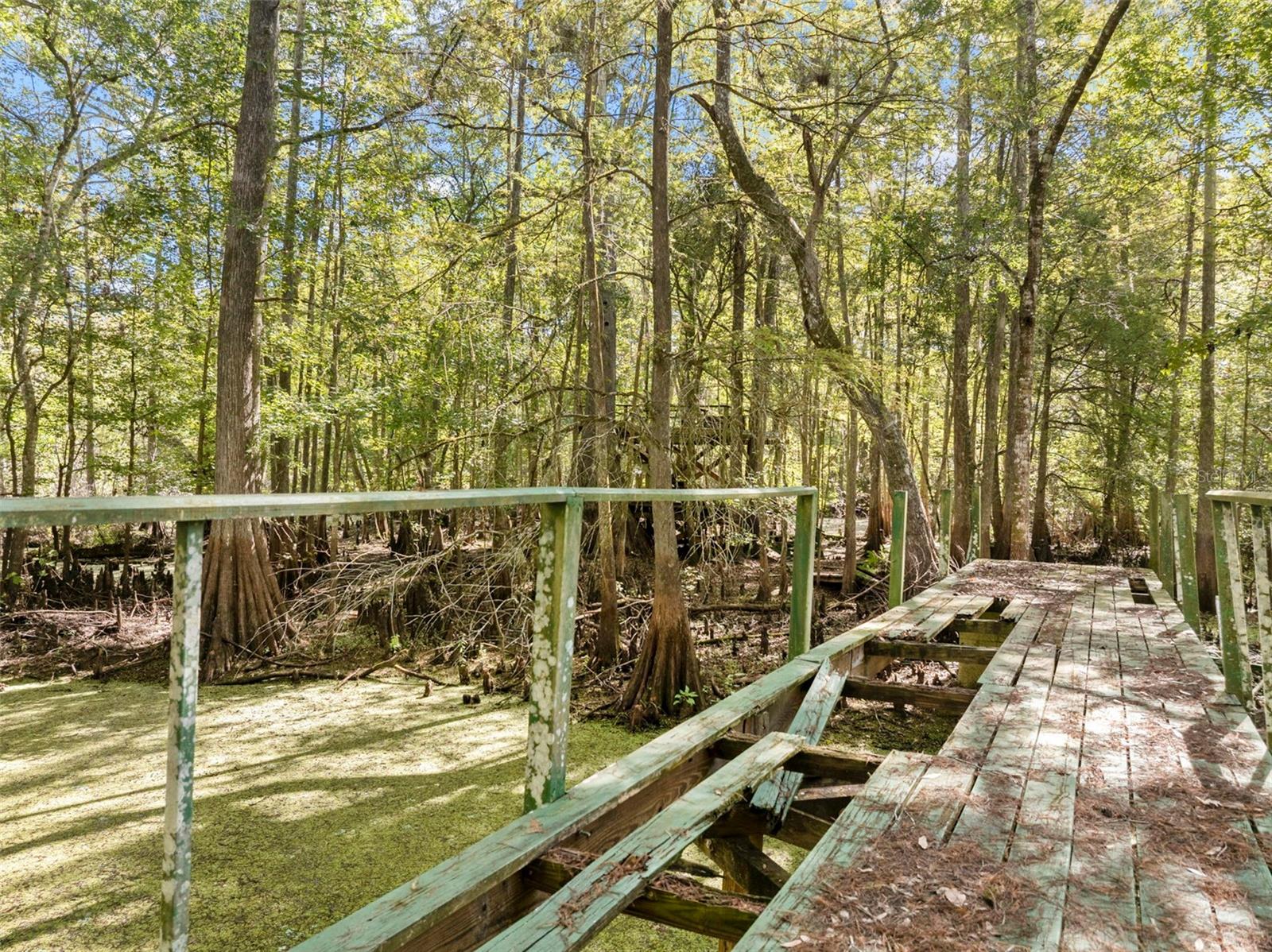 10750 E SYBIL CT, FLORAL CITY, FL, 34436