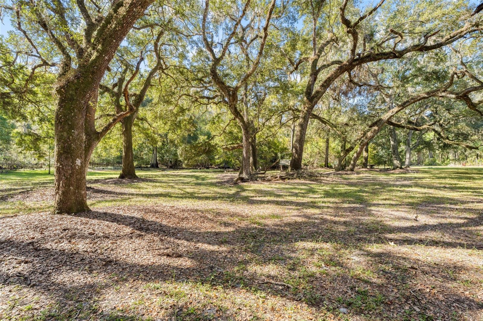 10750 E SYBIL CT, FLORAL CITY, FL, 34436