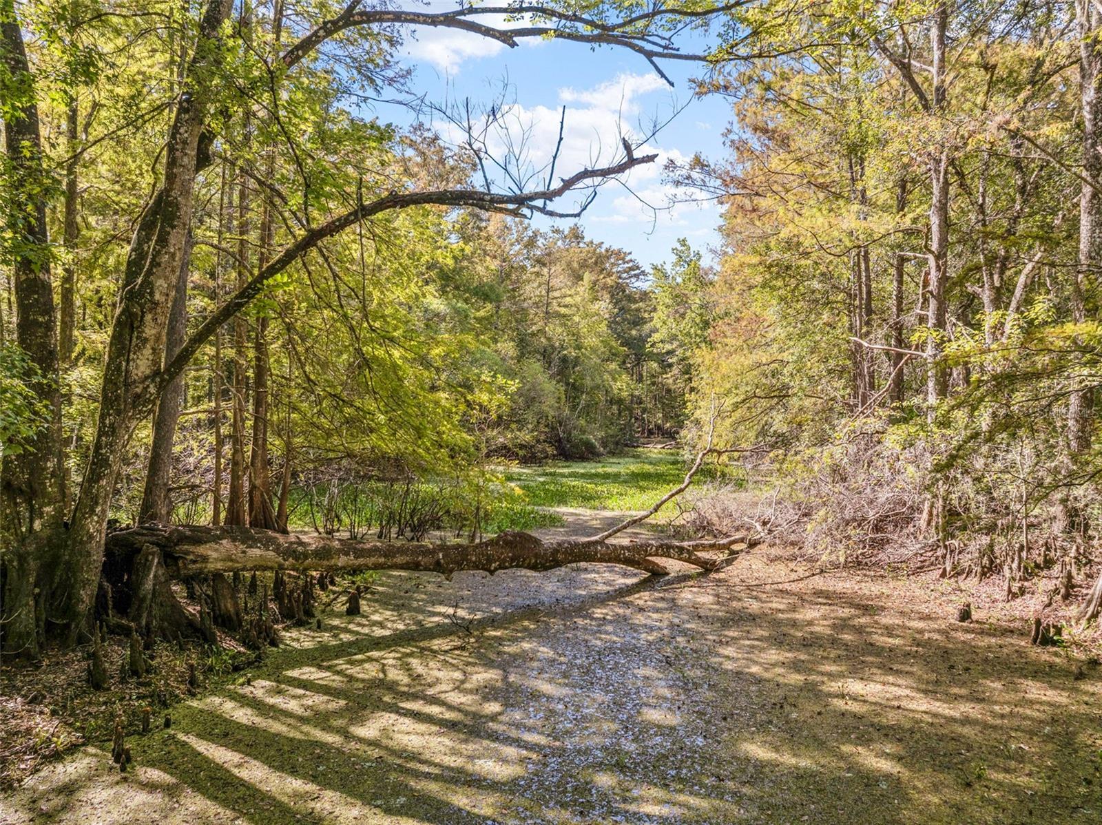 10750 E SYBIL CT, FLORAL CITY, FL, 34436