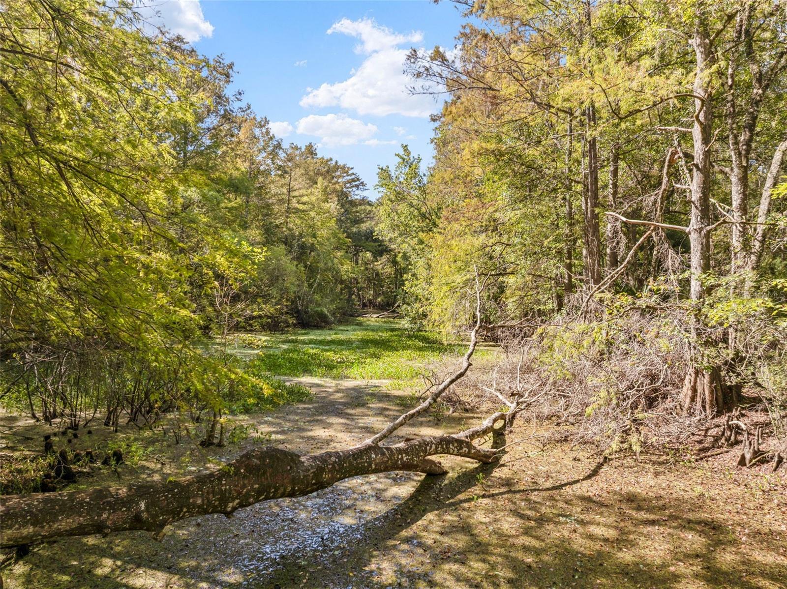 10750 E SYBIL CT, FLORAL CITY, FL, 34436