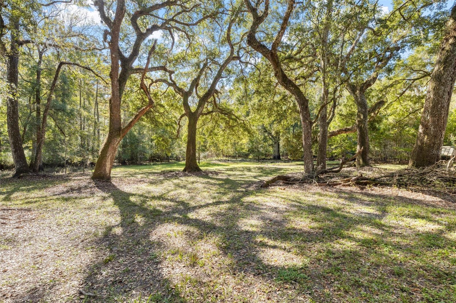 10750 E SYBIL CT, FLORAL CITY, FL, 34436