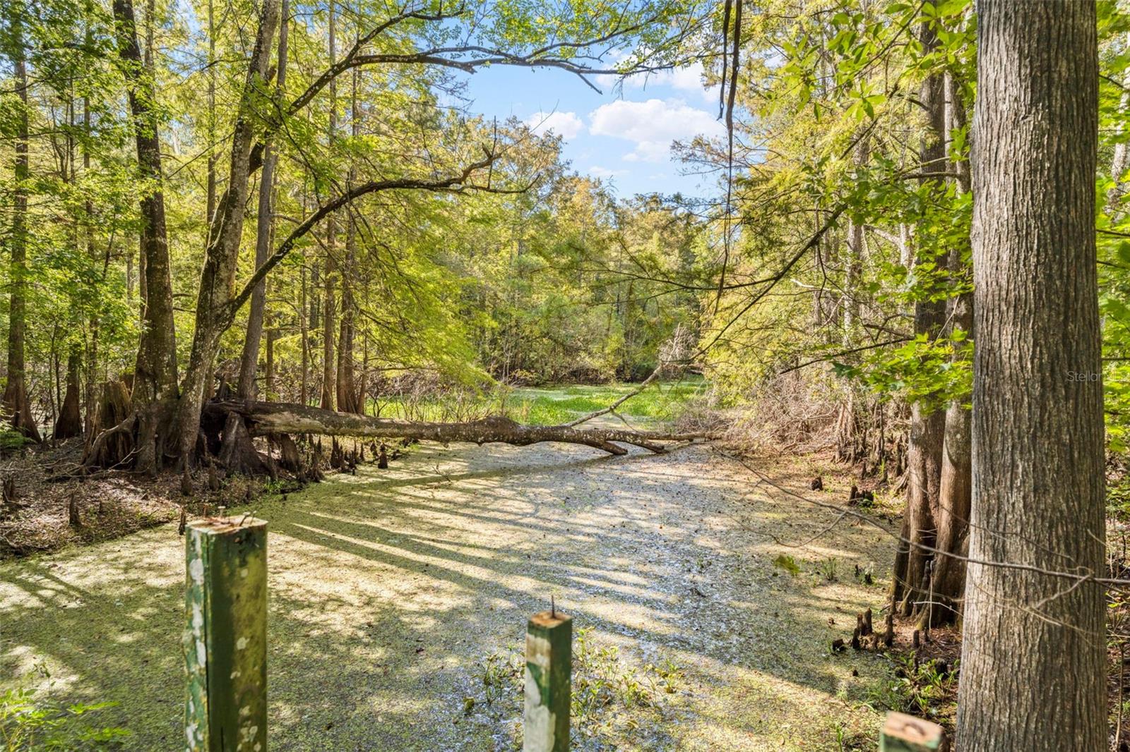 10750 E SYBIL CT, FLORAL CITY, FL, 34436