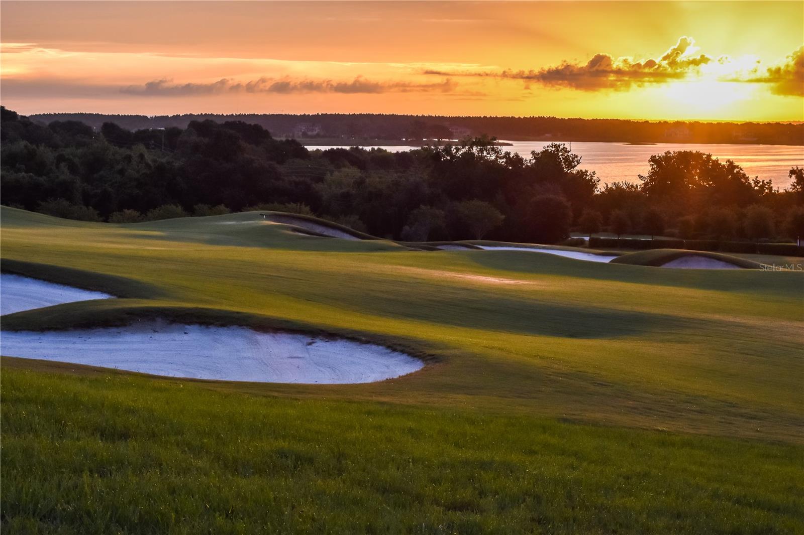 16251 VETTA DR, BELLA COLLINA, FL, 34756