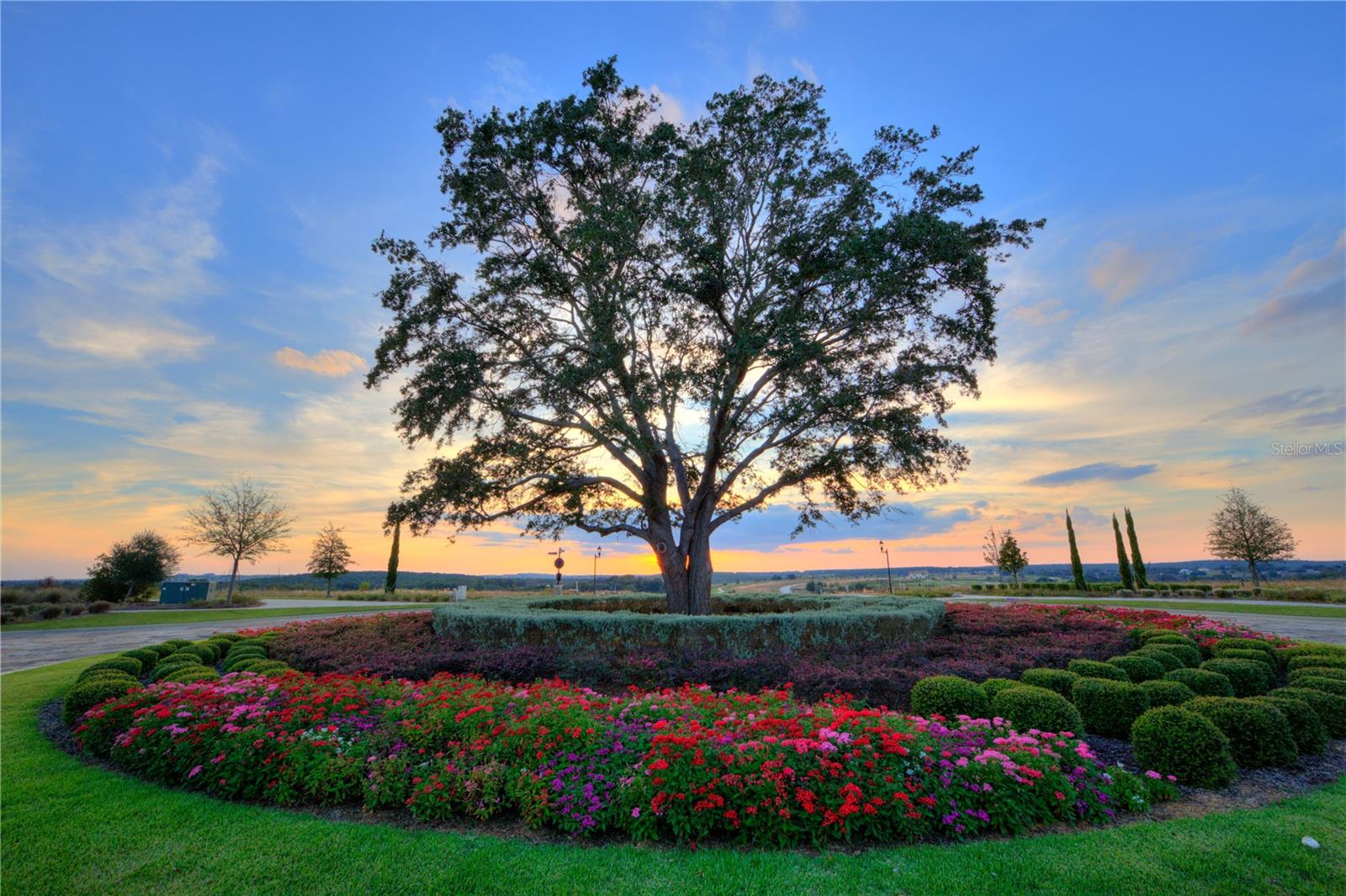 16251 VETTA DR, BELLA COLLINA, FL, 34756