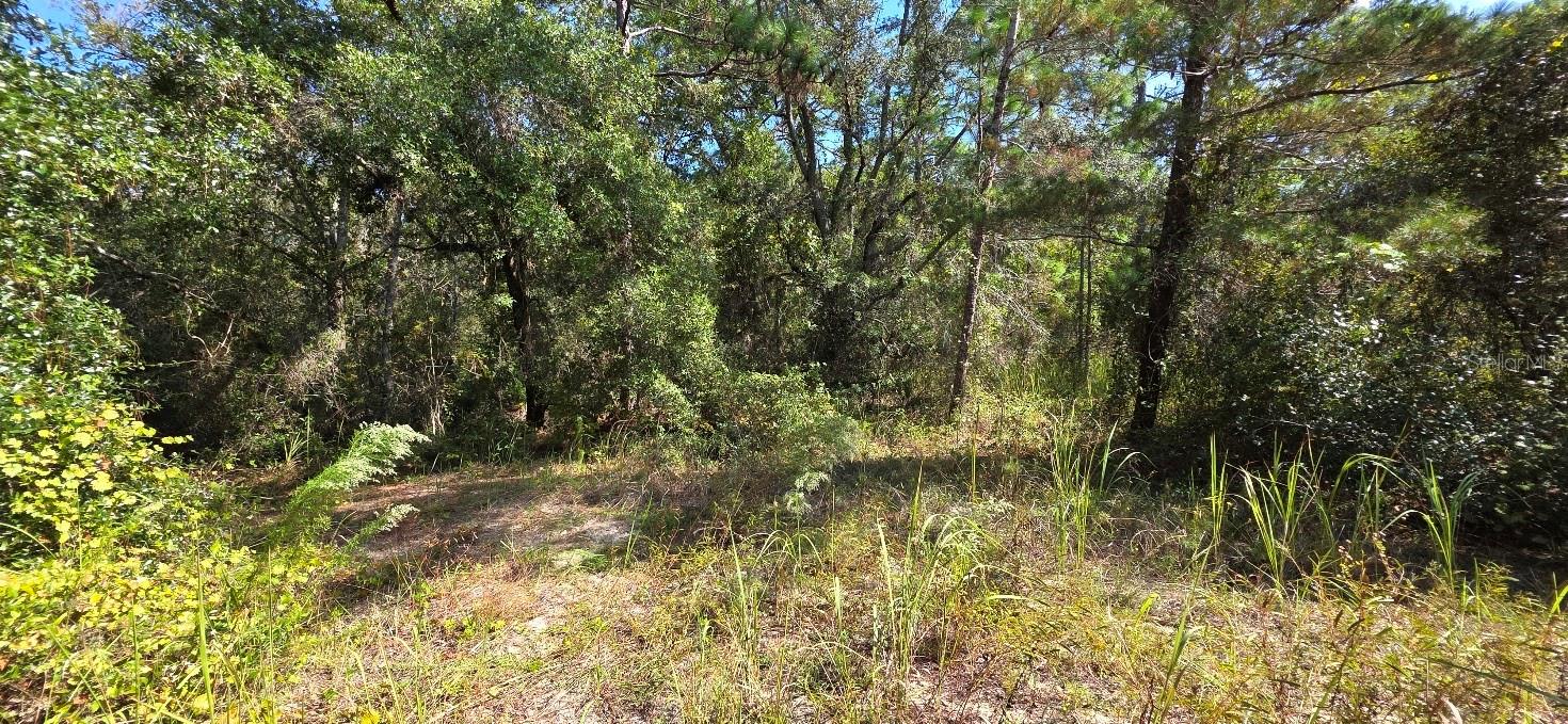 US HIGHWAY 19 N, HUDSON, FL, 34667