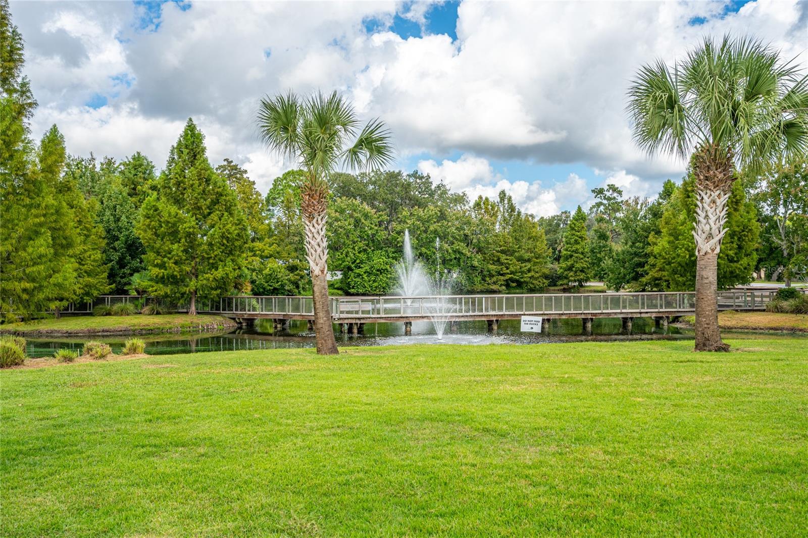 O6354921 Property Photo
