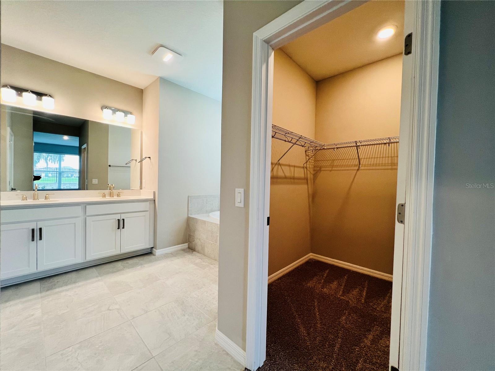 3902 ROSE MALLOW DR, KISSIMMEE, FL, 34746