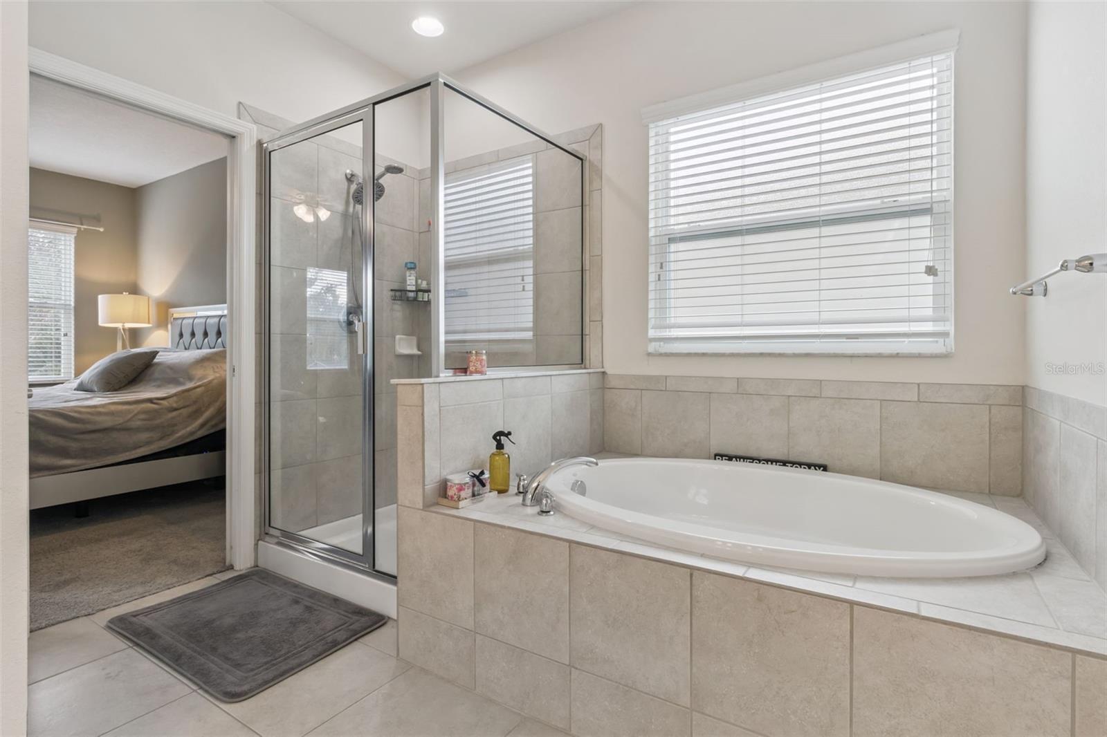 12004 RAMBLING STREAM DR, RIVERVIEW, FL, 33569