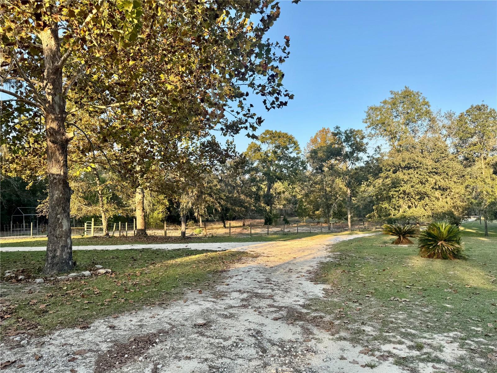 2329 NE 80TH AVE, HIGH SPRINGS, FL, 32643