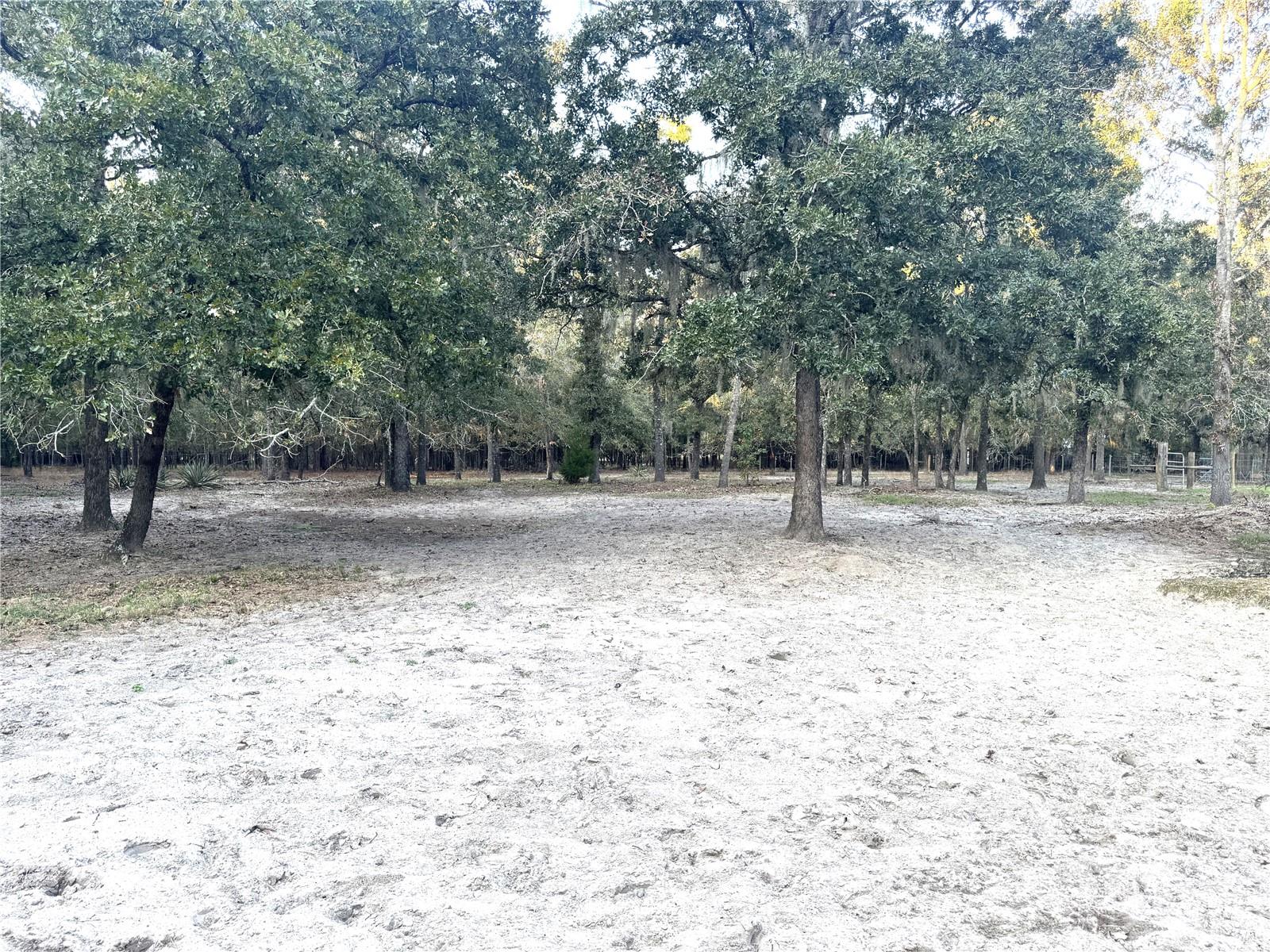 2329 NE 80TH AVE, HIGH SPRINGS, FL, 32643