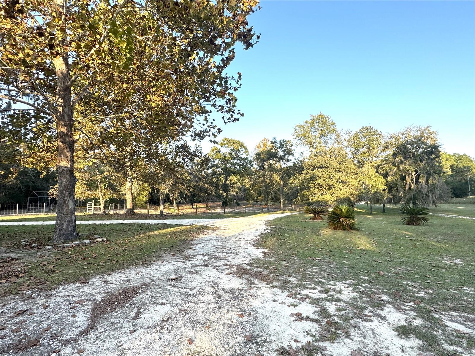 2329 NE 80TH AVE, HIGH SPRINGS, FL, 32643