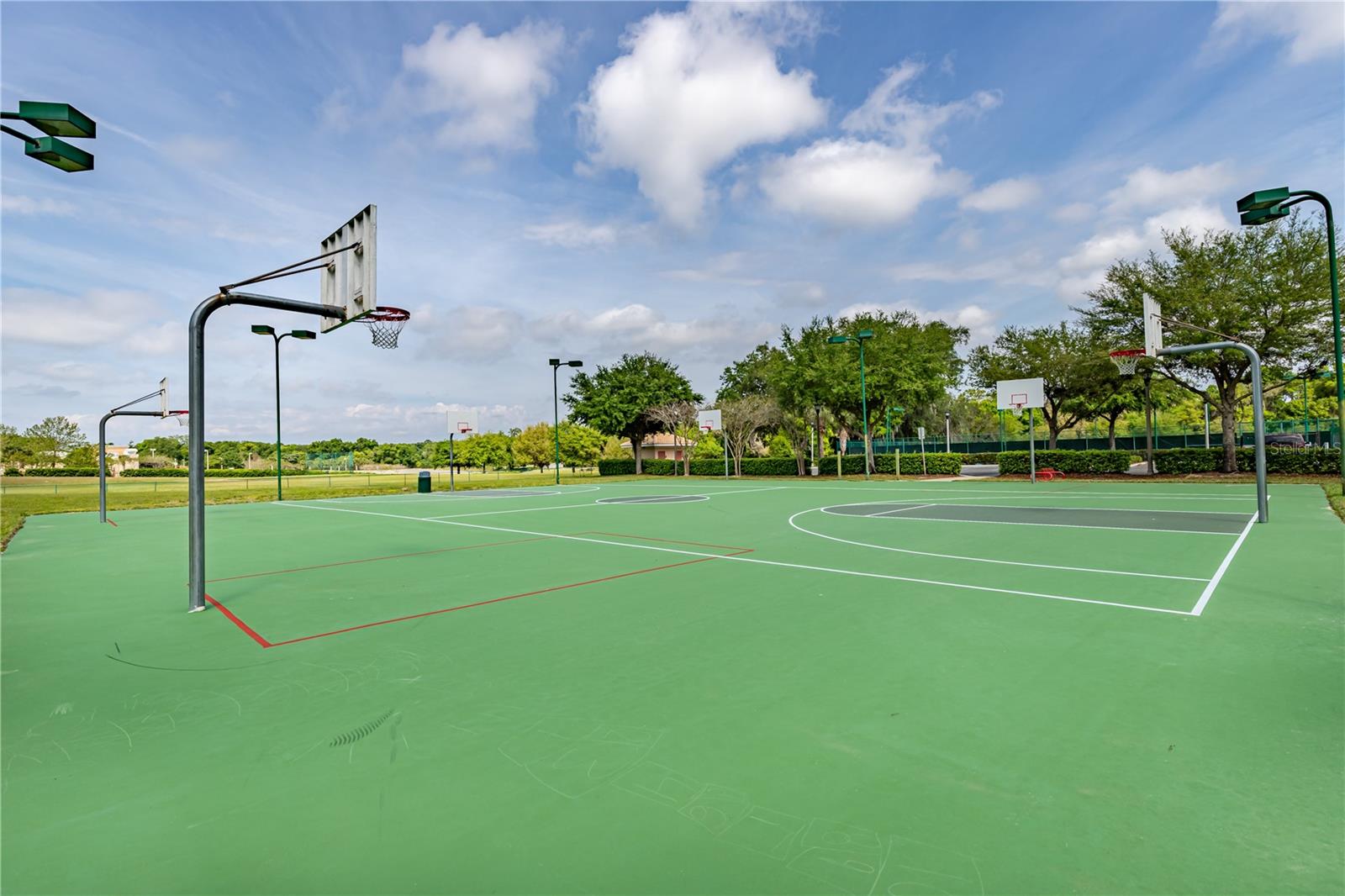 6001 SPRING CREEK CT, MOUNT DORA, FL, 32757