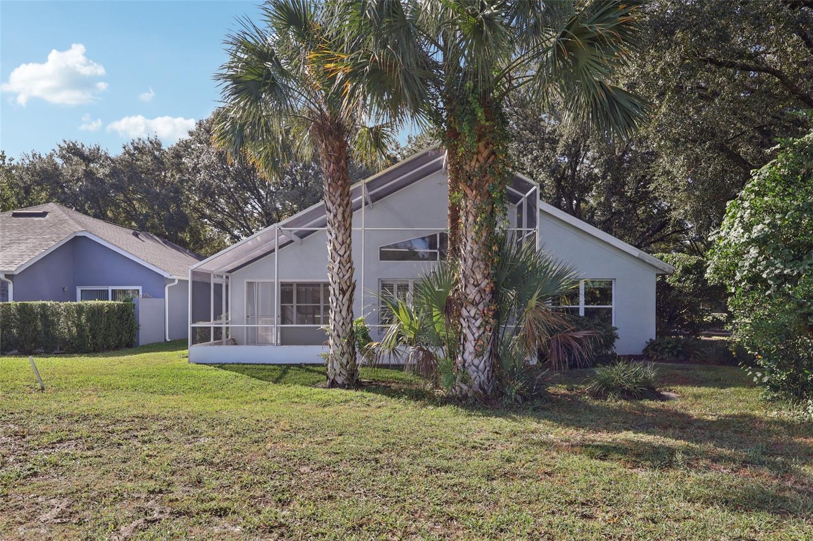6001 SPRING CREEK CT, MOUNT DORA, FL, 32757