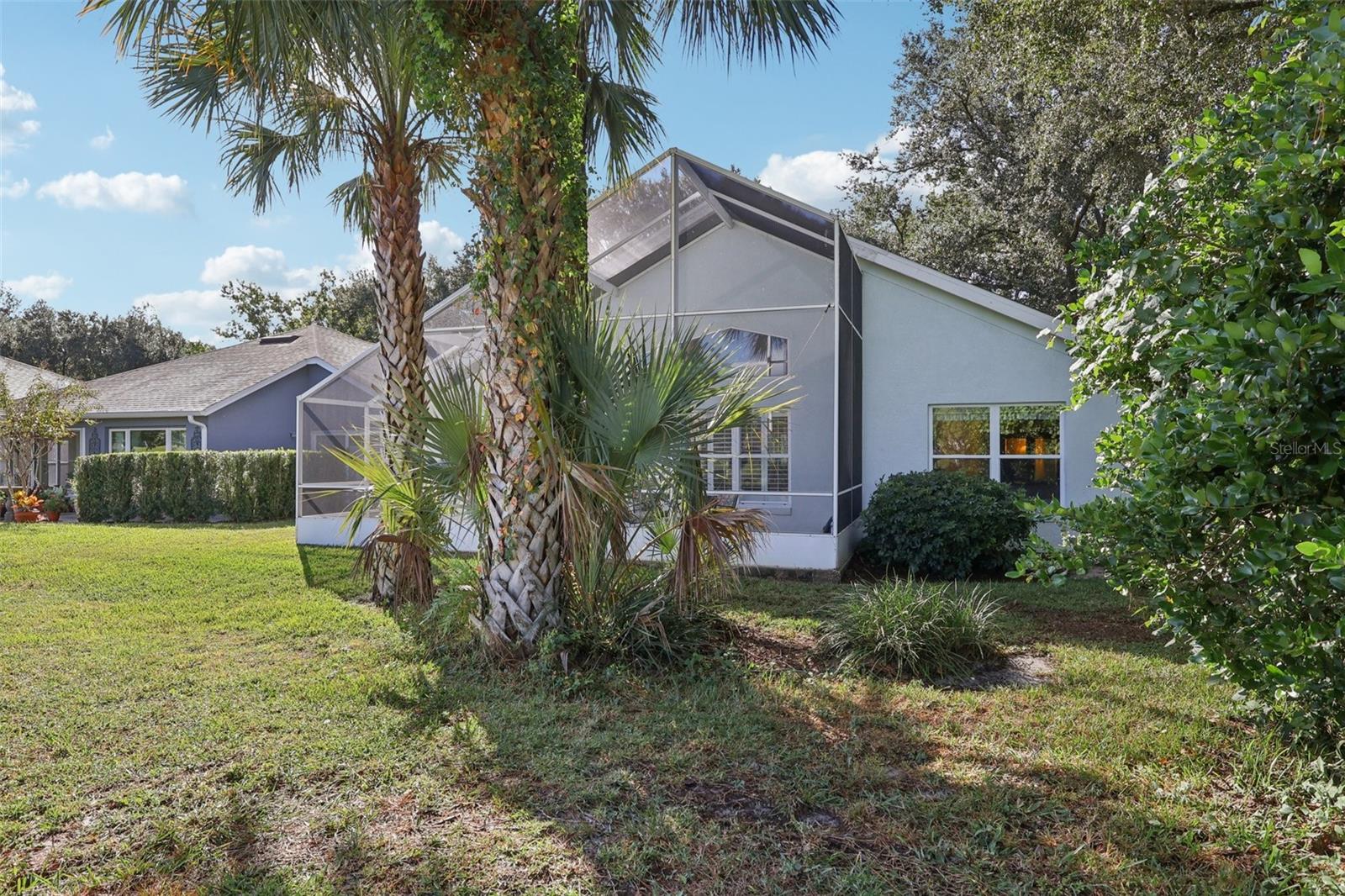 6001 SPRING CREEK CT, MOUNT DORA, FL, 32757