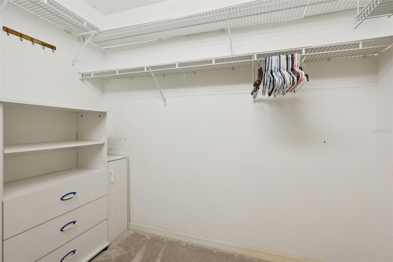 6001 SPRING CREEK CT, MOUNT DORA, FL, 32757