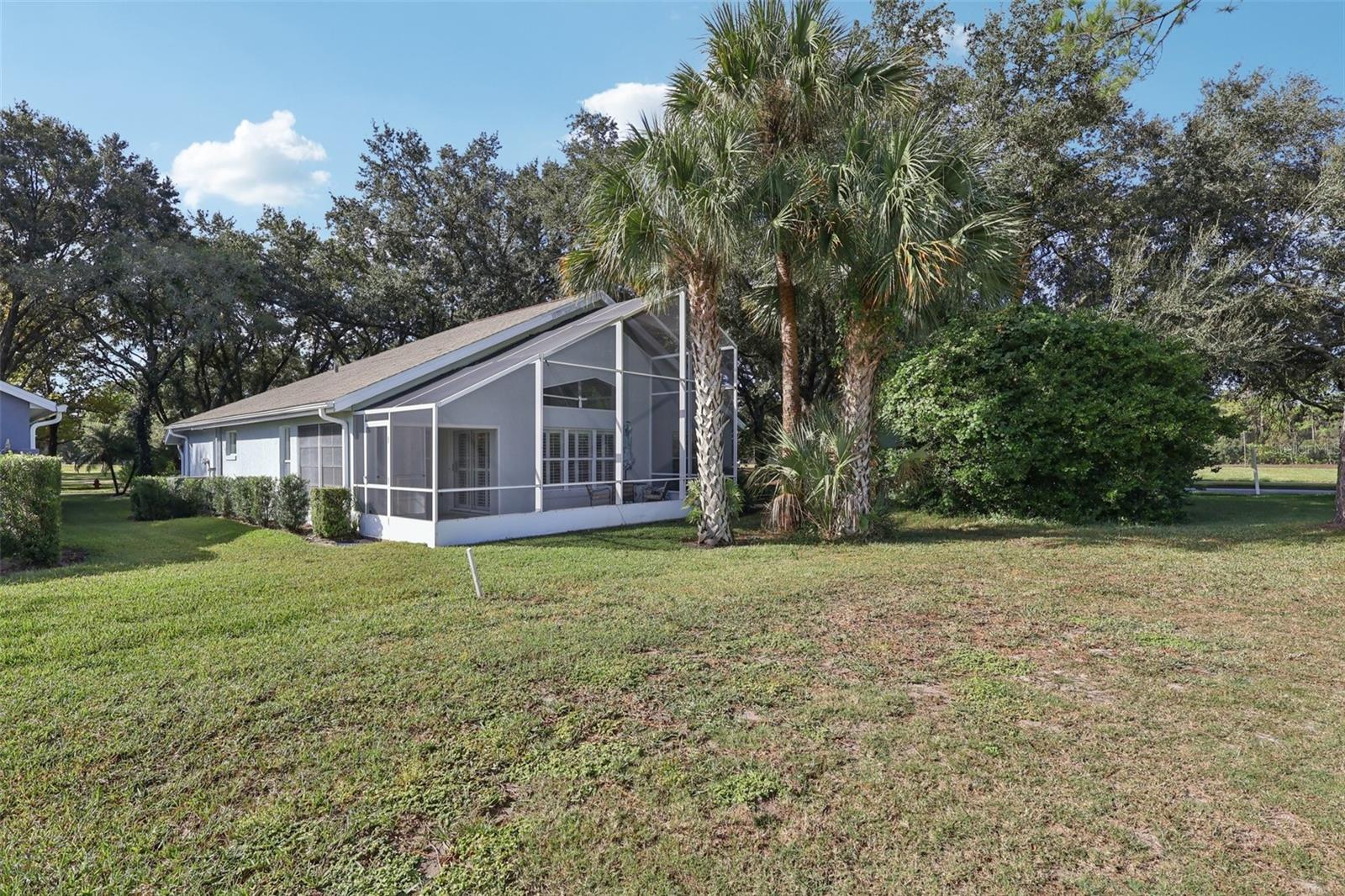 6001 SPRING CREEK CT, MOUNT DORA, FL, 32757