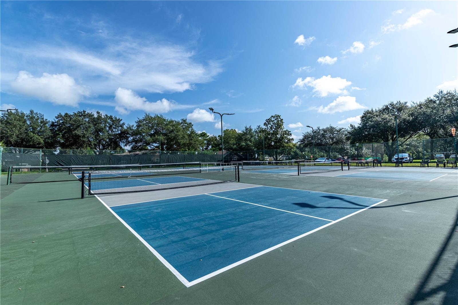 6001 SPRING CREEK CT, MOUNT DORA, FL, 32757