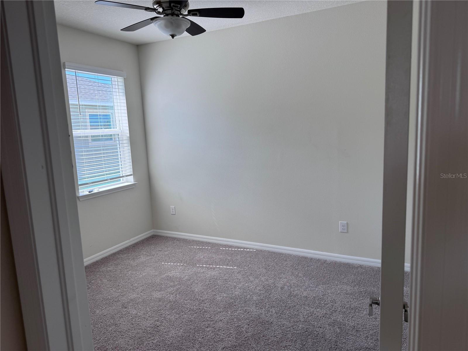 11703 TETRAFIN DR, RIVERVIEW, FL, 33579