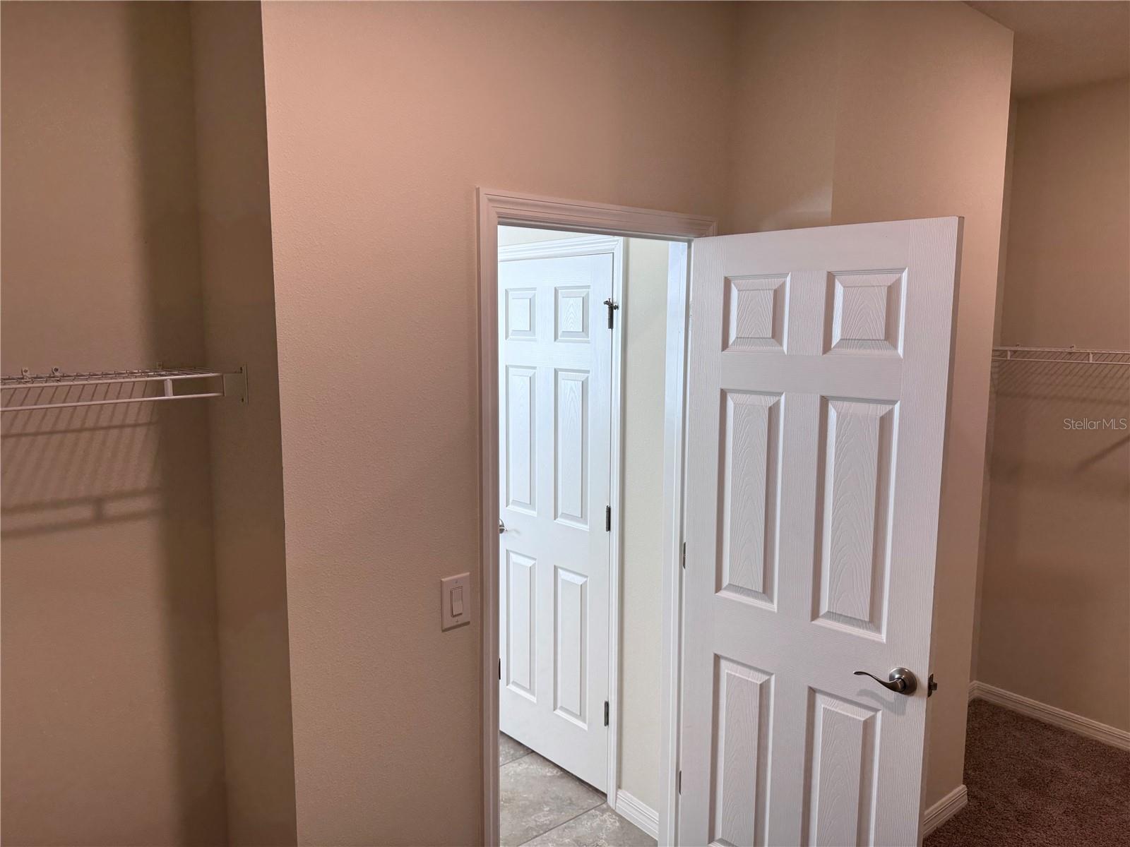 11703 TETRAFIN DR, RIVERVIEW, FL, 33579