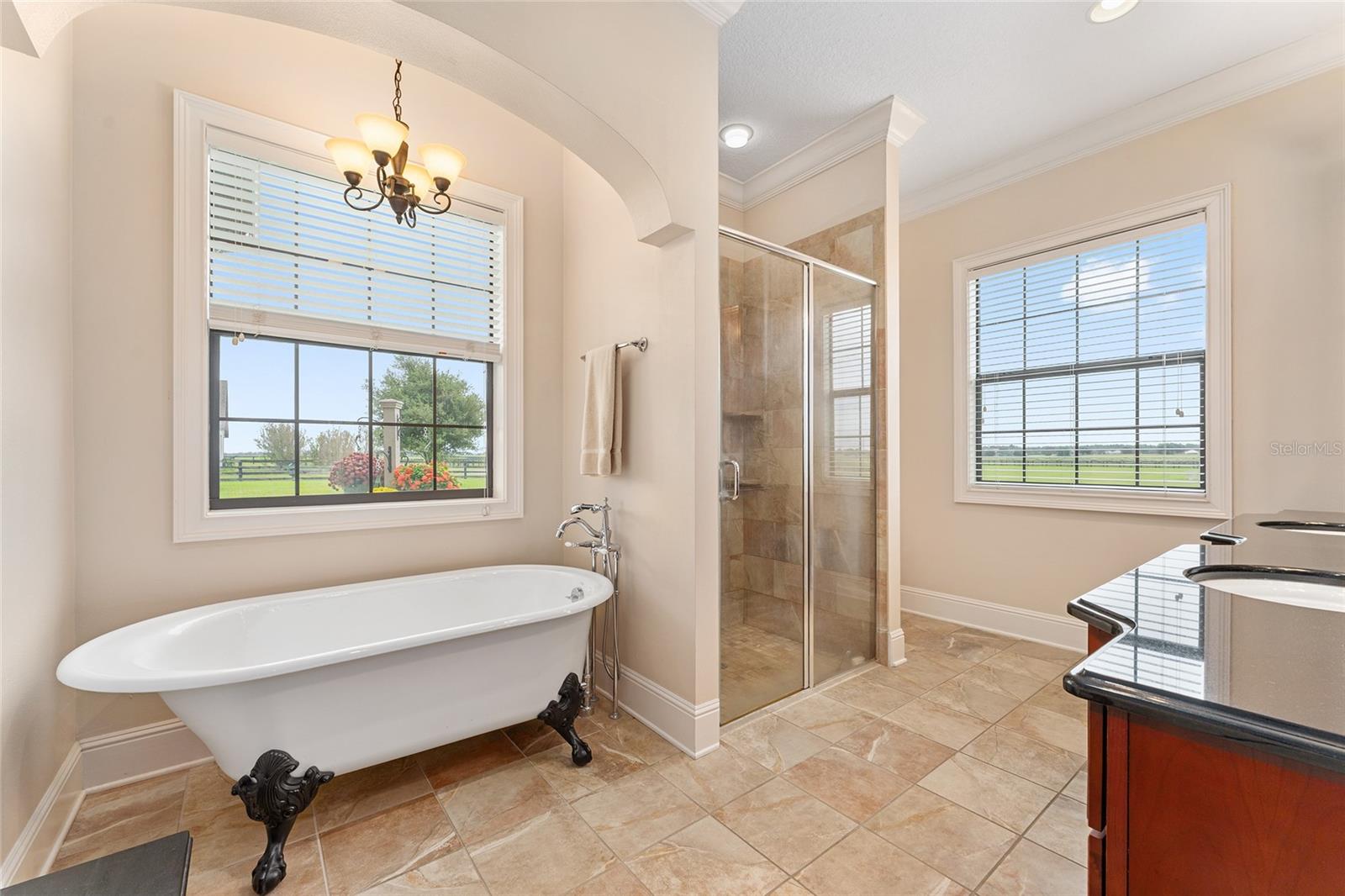 EMERALD MILE FARMS, DUNNELLON, FL, 34432