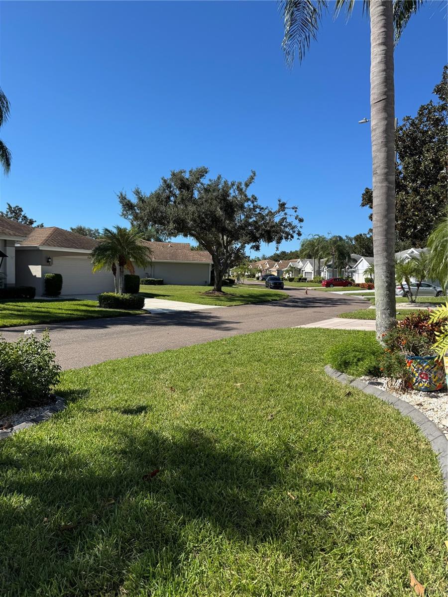 2305 OLIVE BRANCH DR, SUN CITY CENTER, FL, 33573