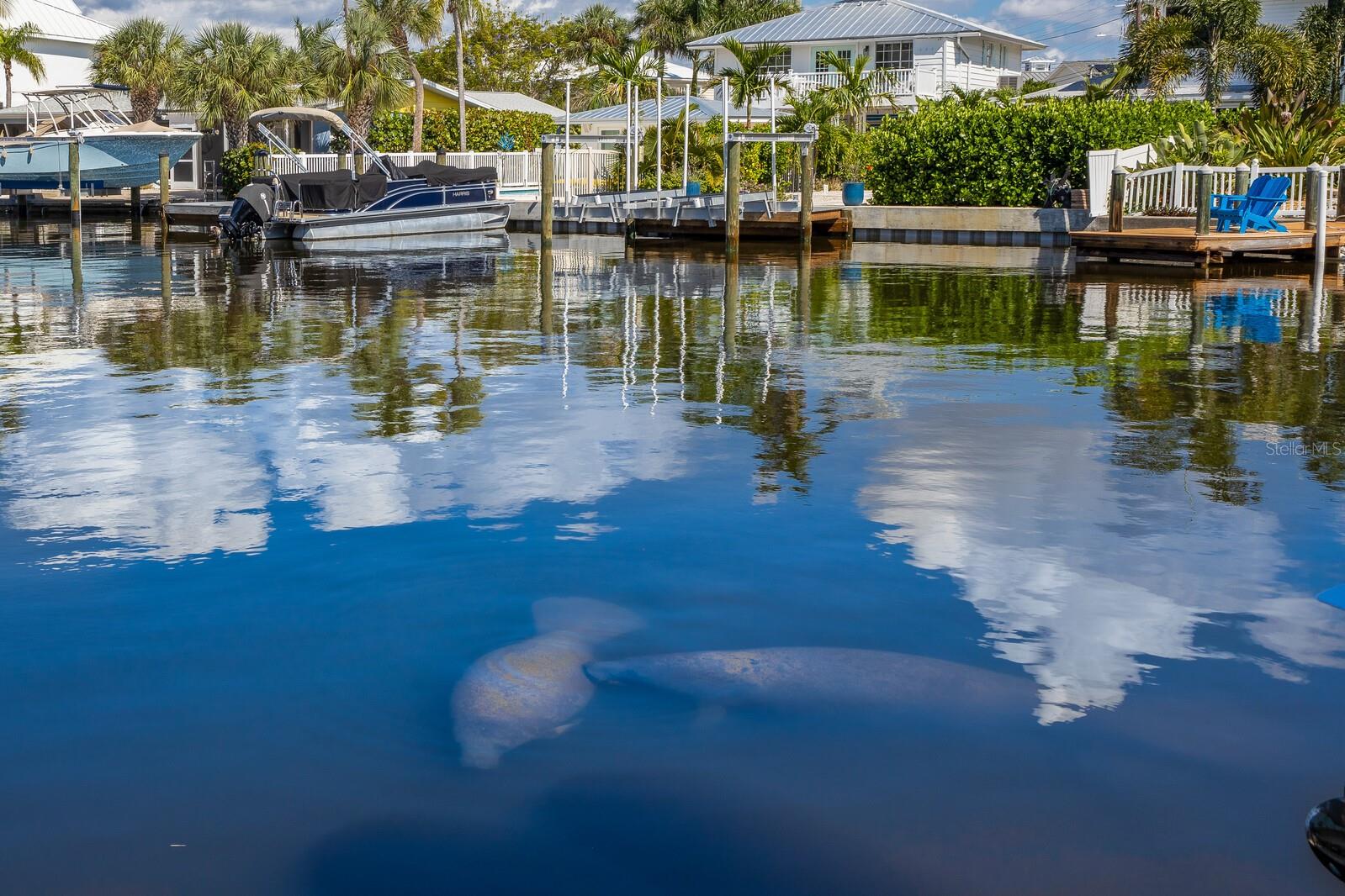 A4669504 Property Photo