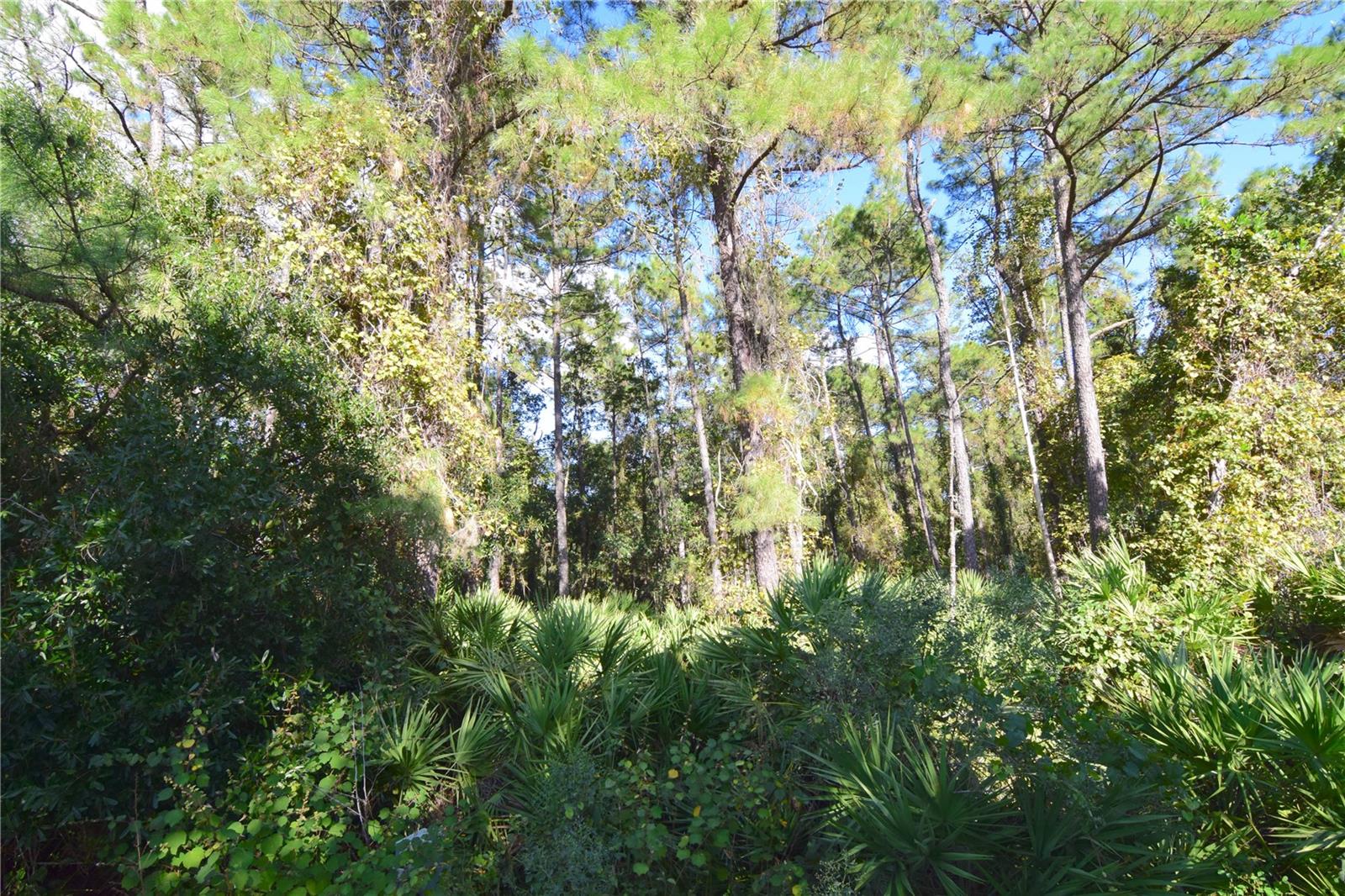 3585 COCONUT PALM CIR, OVIEDO, FL, 32765