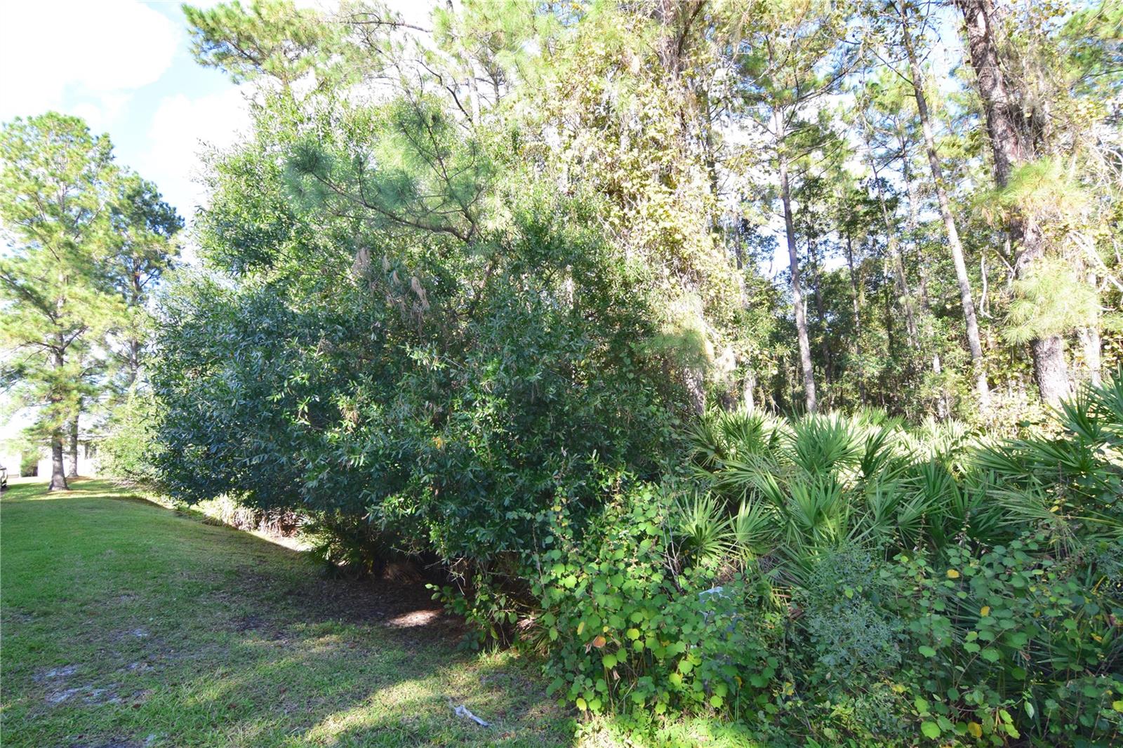 3585 COCONUT PALM CIR, OVIEDO, FL, 32765