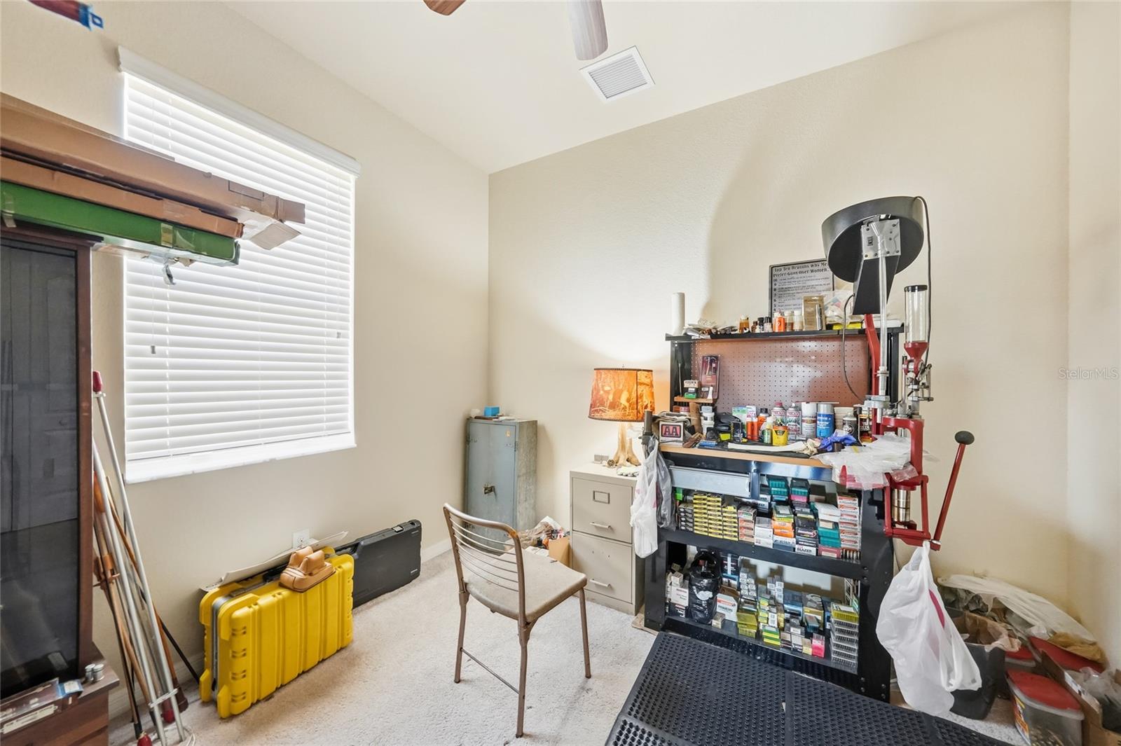 11720 SPOTTED MARGAY AVE, VENICE, FL, 34292