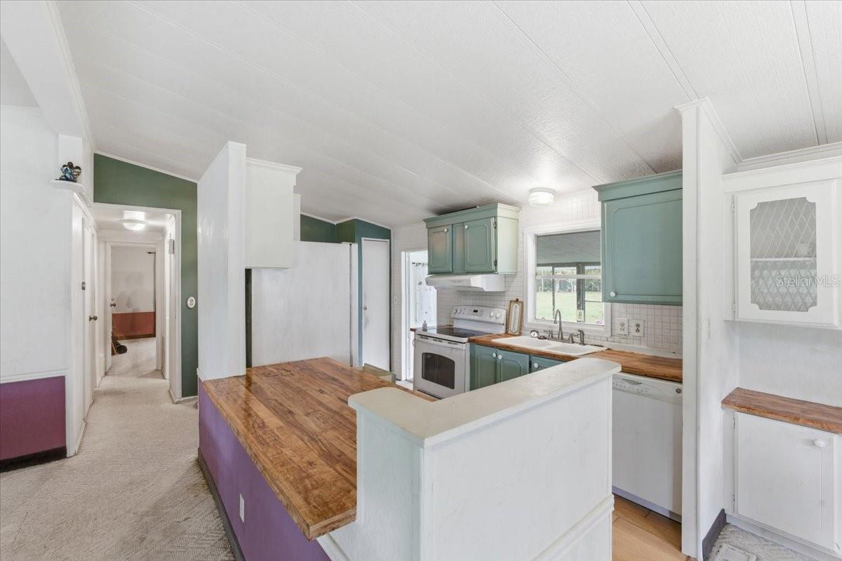 200 PONDEROSA PINE CT, GEORGETOWN, FL, 32139