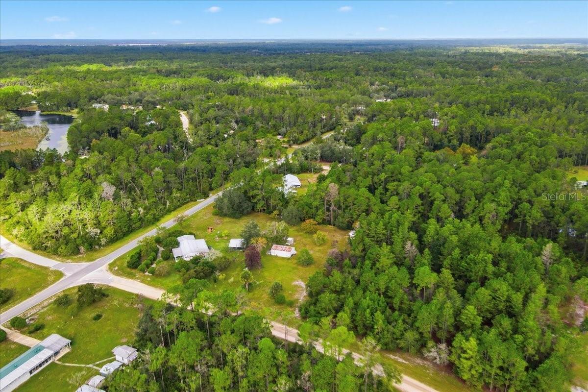 200 PONDEROSA PINE CT, GEORGETOWN, FL, 32139