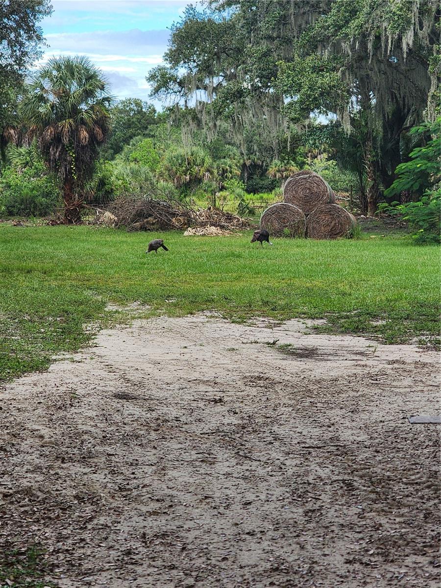 3945 COUNTY ROAD 833, CLEWISTON, FL, 33440