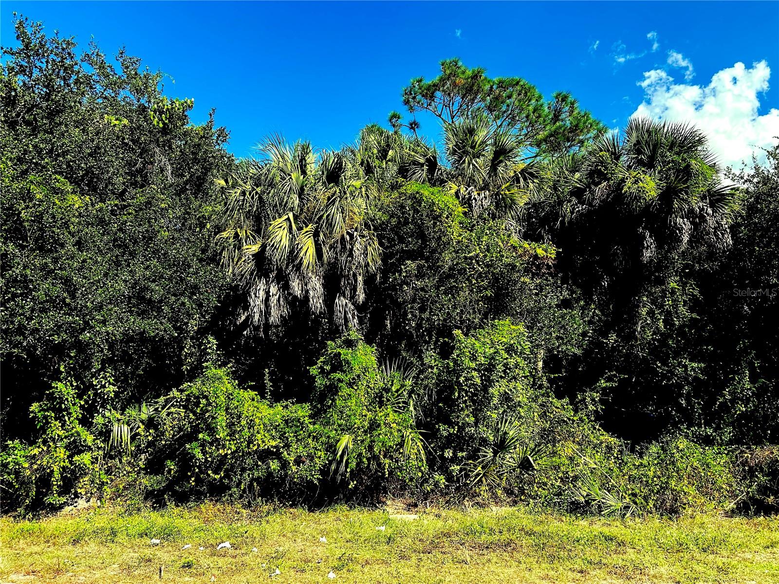 1428 KENESAW ST, PORT CHARLOTTE, FL, 33948