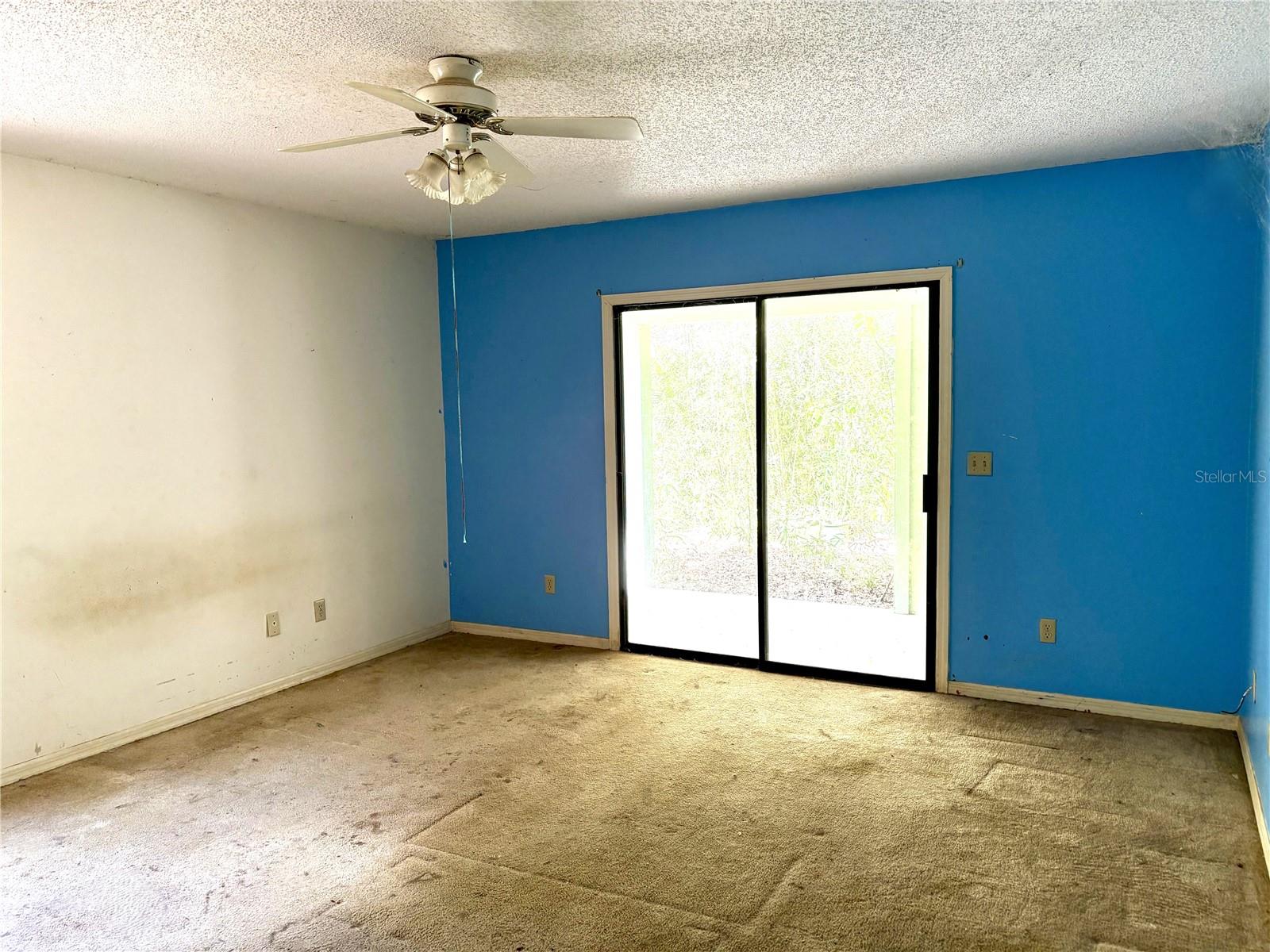 795 SCOOTER PT, GENEVA, FL, 32732