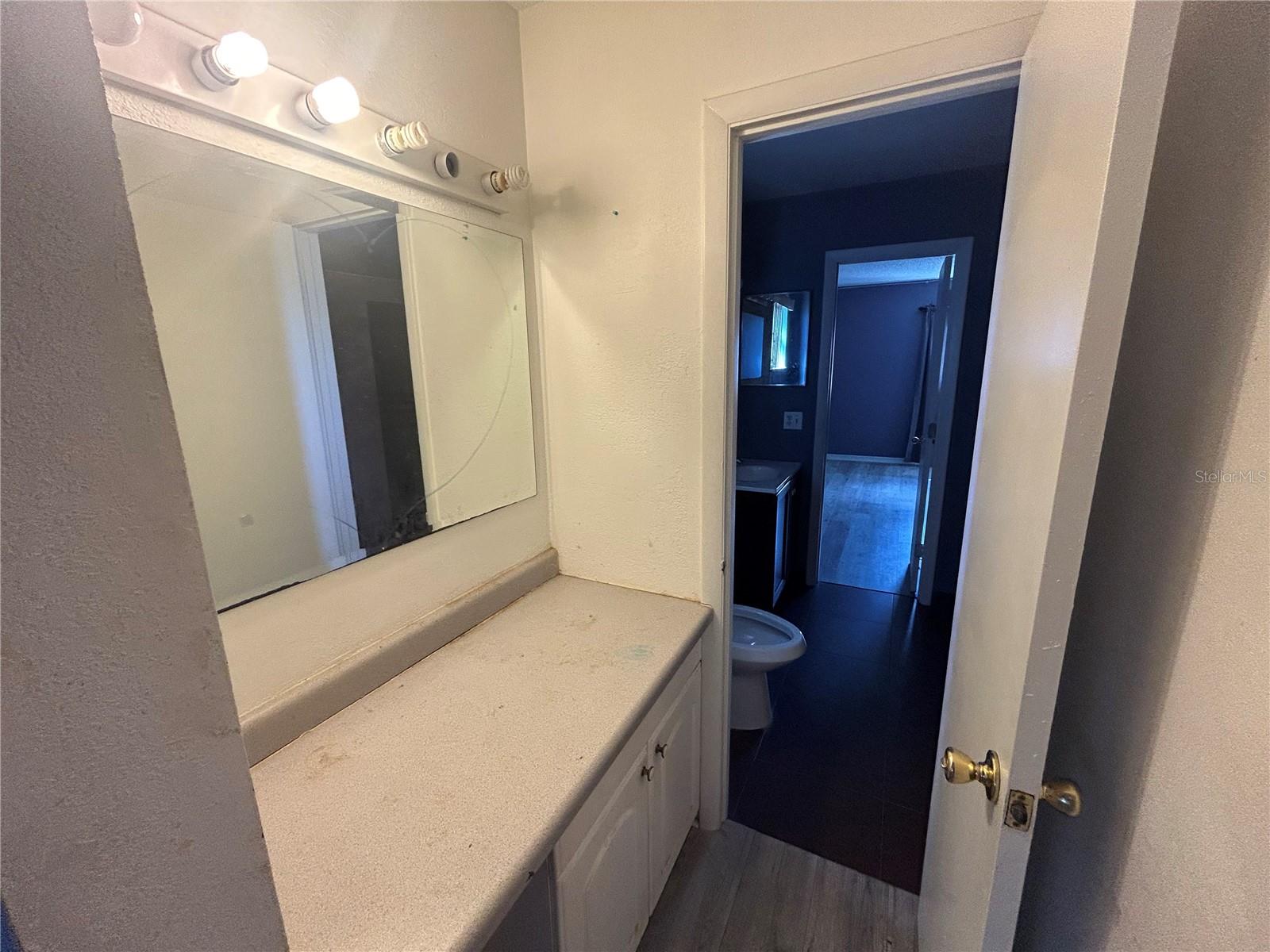 3201 SHADY WILLOW DR, ORLANDO, FL, 32808