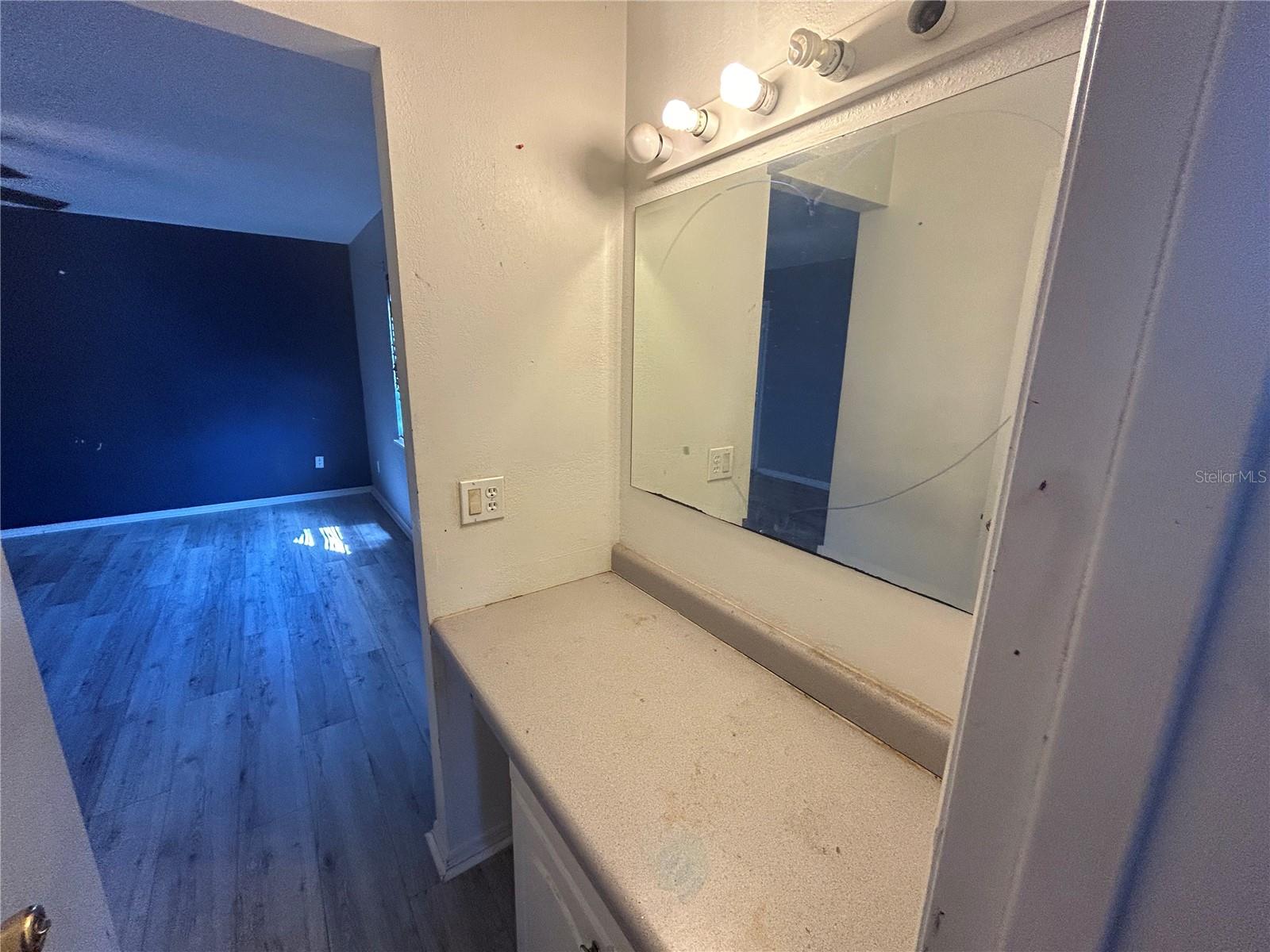 3201 SHADY WILLOW DR, ORLANDO, FL, 32808