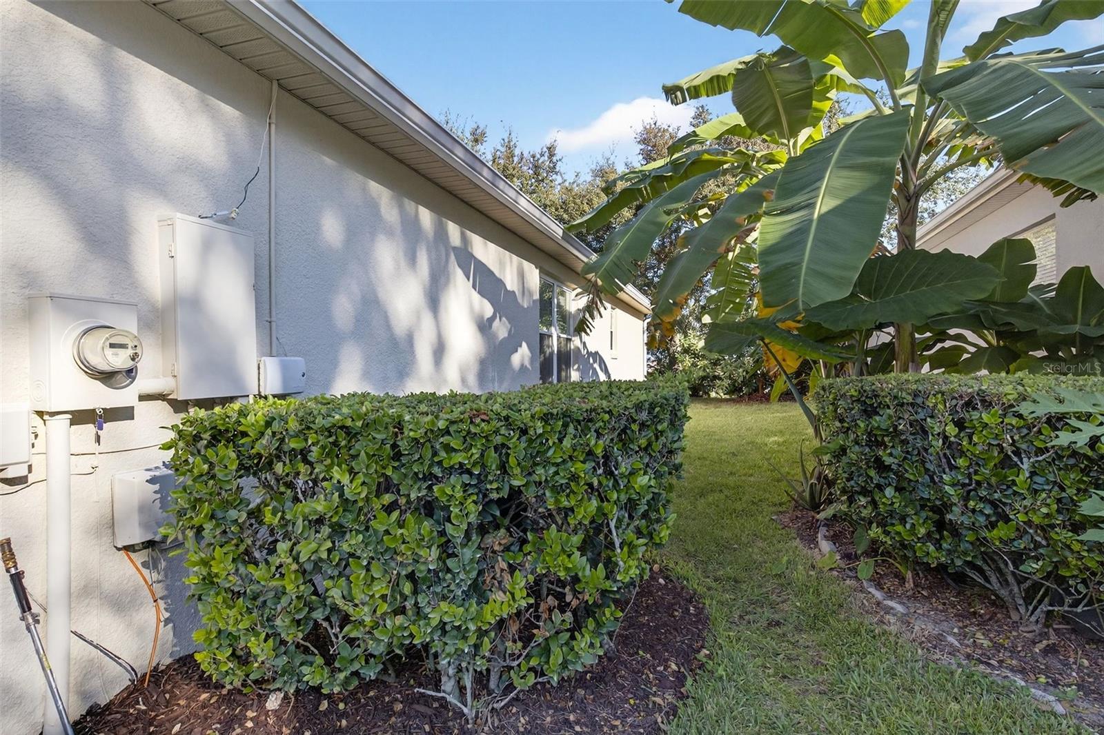 791 WOLF CREEK ST, CLERMONT, FL, 34711