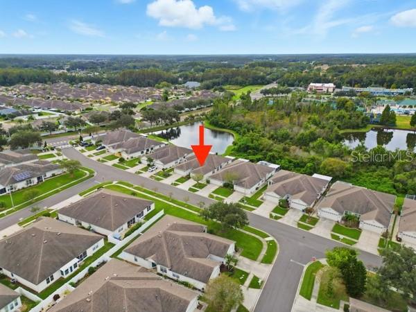 1910 SASSAFRAS DR, WESLEY CHAPEL, FL, 33543