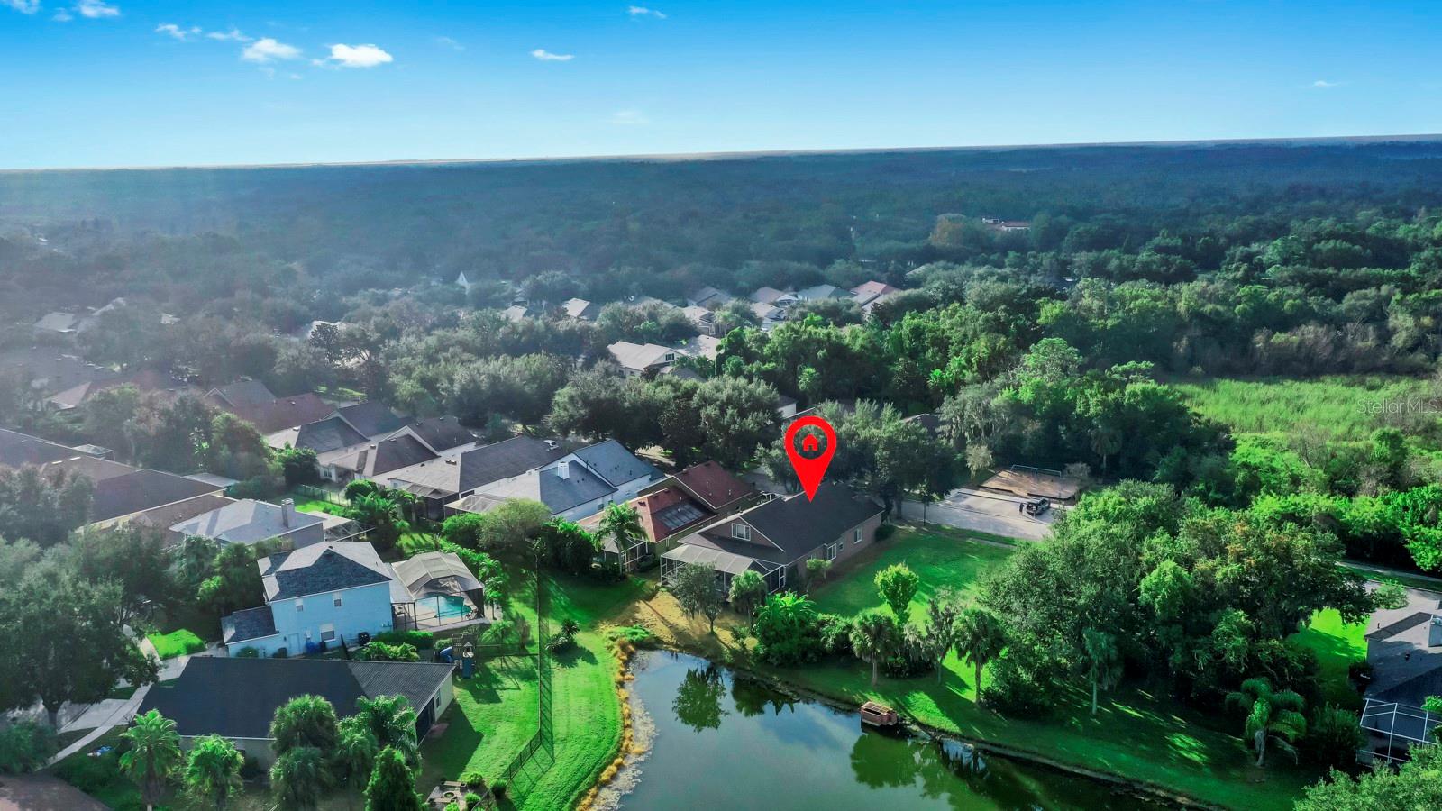 15513 MARTINMEADOW DR, LITHIA, FL, 33547