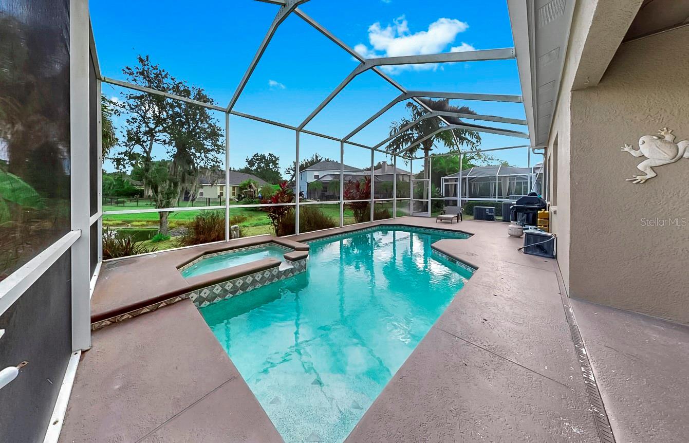 15513 MARTINMEADOW DR, LITHIA, FL, 33547