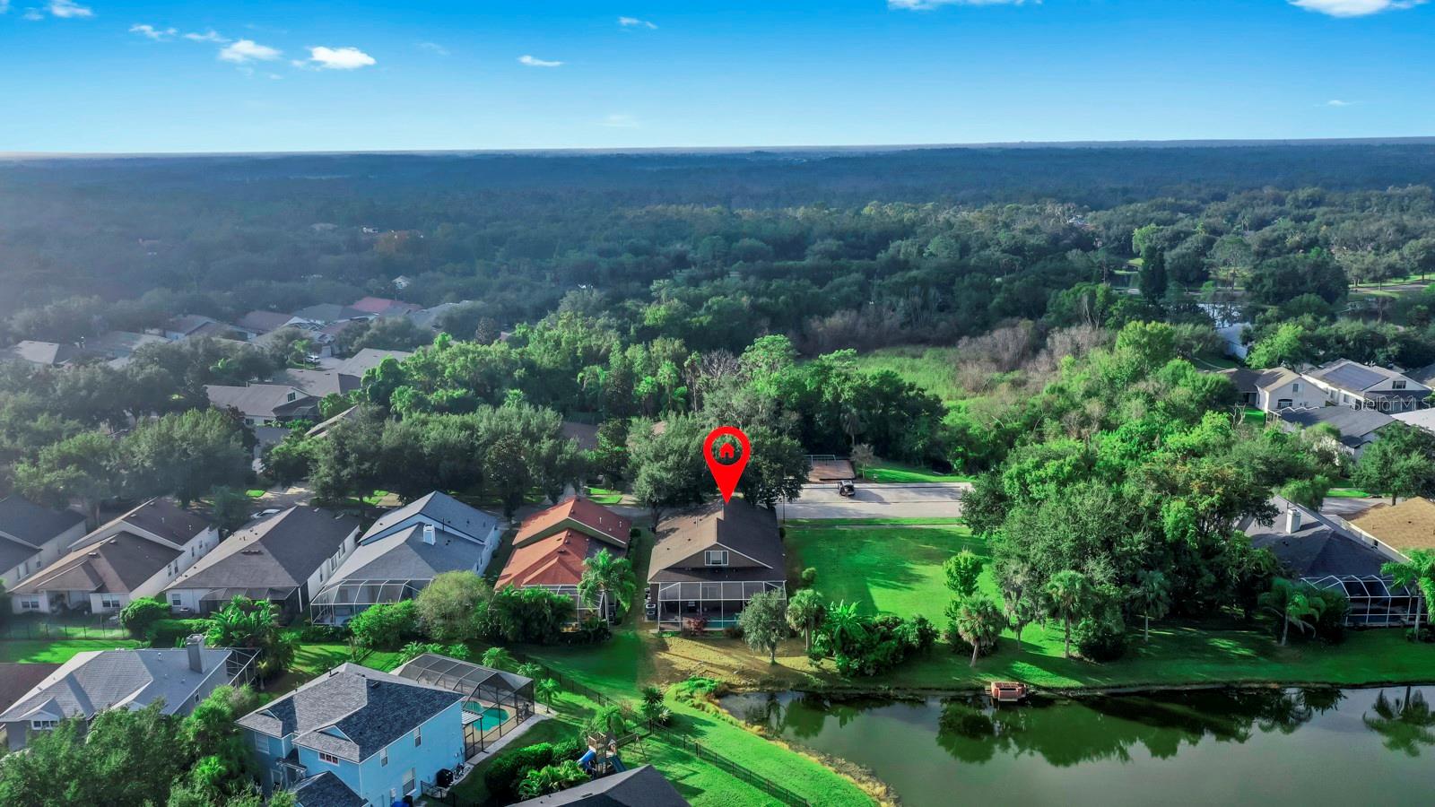 15513 MARTINMEADOW DR, LITHIA, FL, 33547