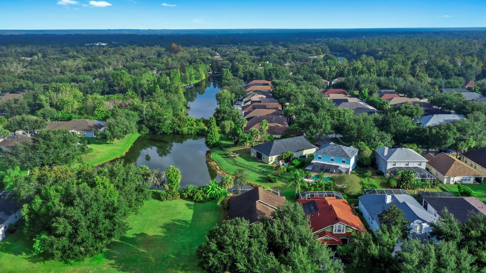 15513 MARTINMEADOW DR, LITHIA, FL, 33547